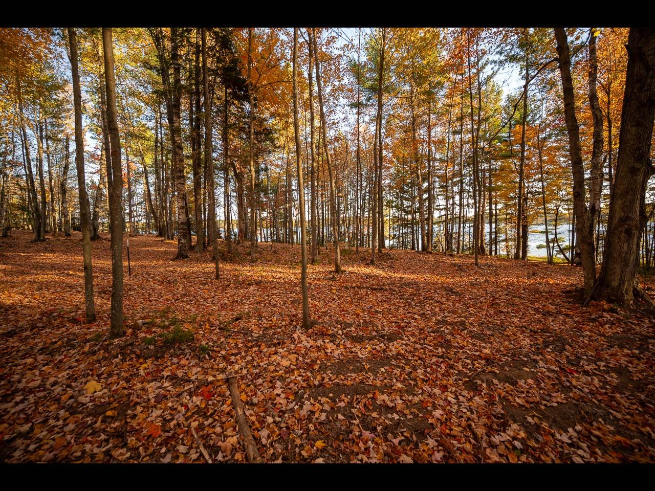 Clearwater Lake Property 142-144 Kindling Pt Photo 24