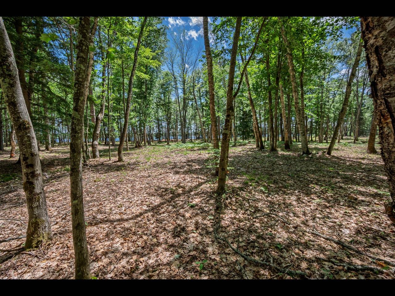 Clearwater Lake Property 142-144 Kindling Pt Photo 7