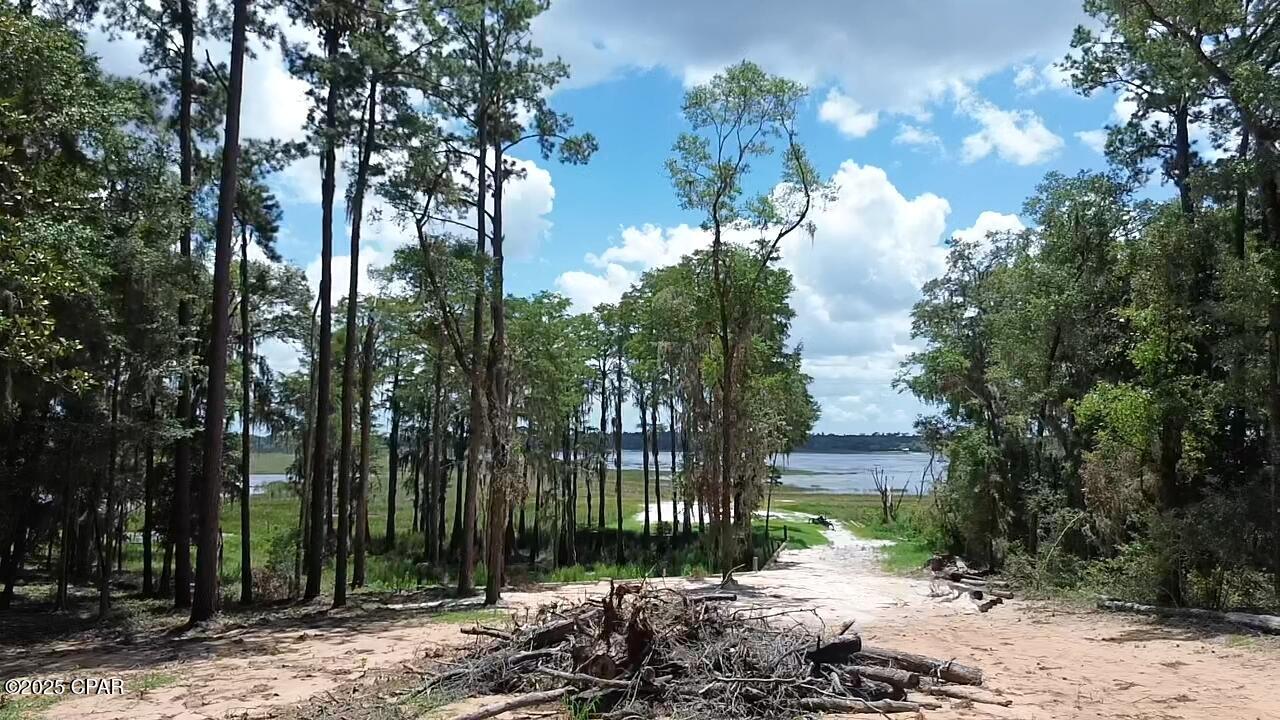 Image 2 For Lot 12 Hicks Lake Trail