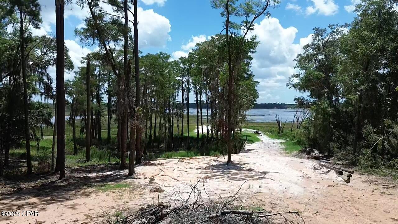 Image 3 For Lot 12 Hicks Lake Trail