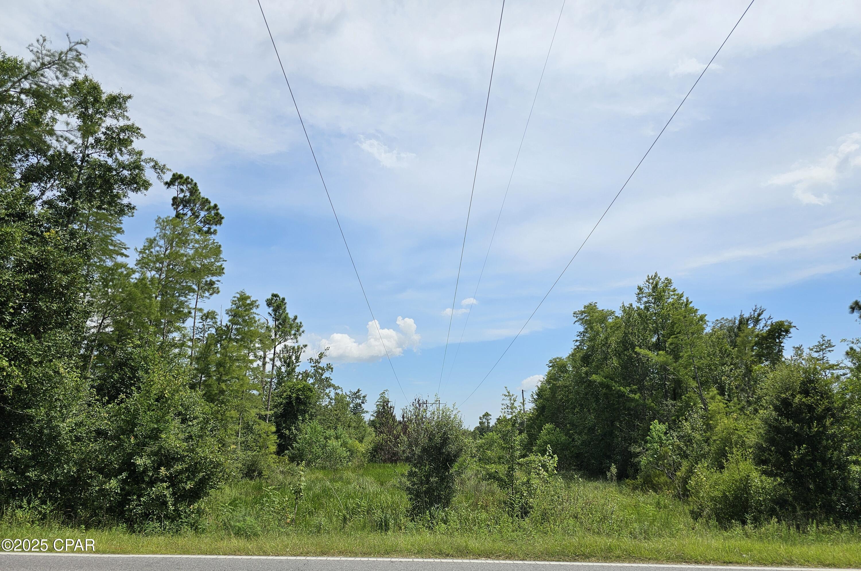 Image 3 For 0 Hwy 2301 & Camp Flowers Road