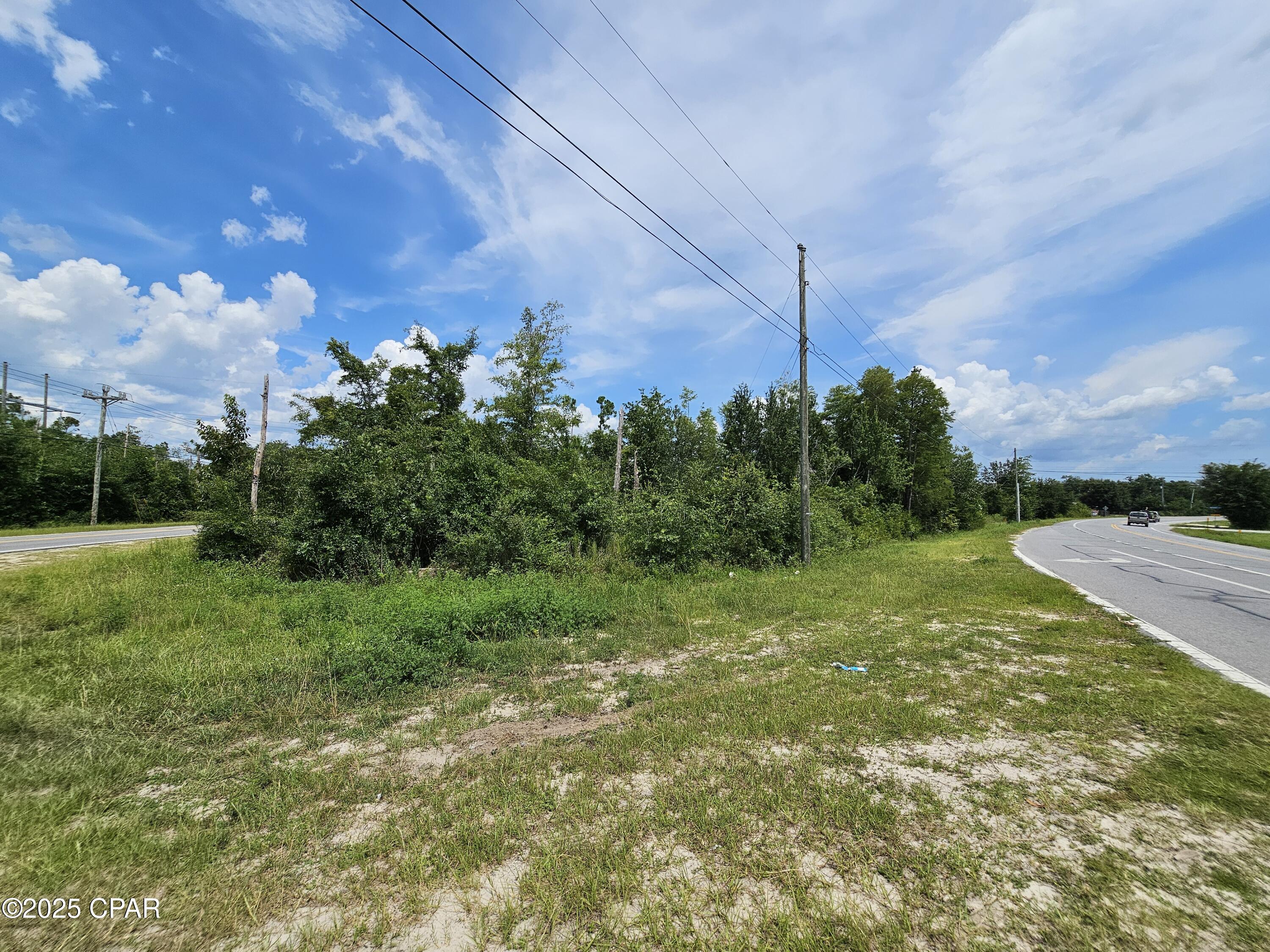 Image 4 For 0 Hwy 2301 & Camp Flowers Road