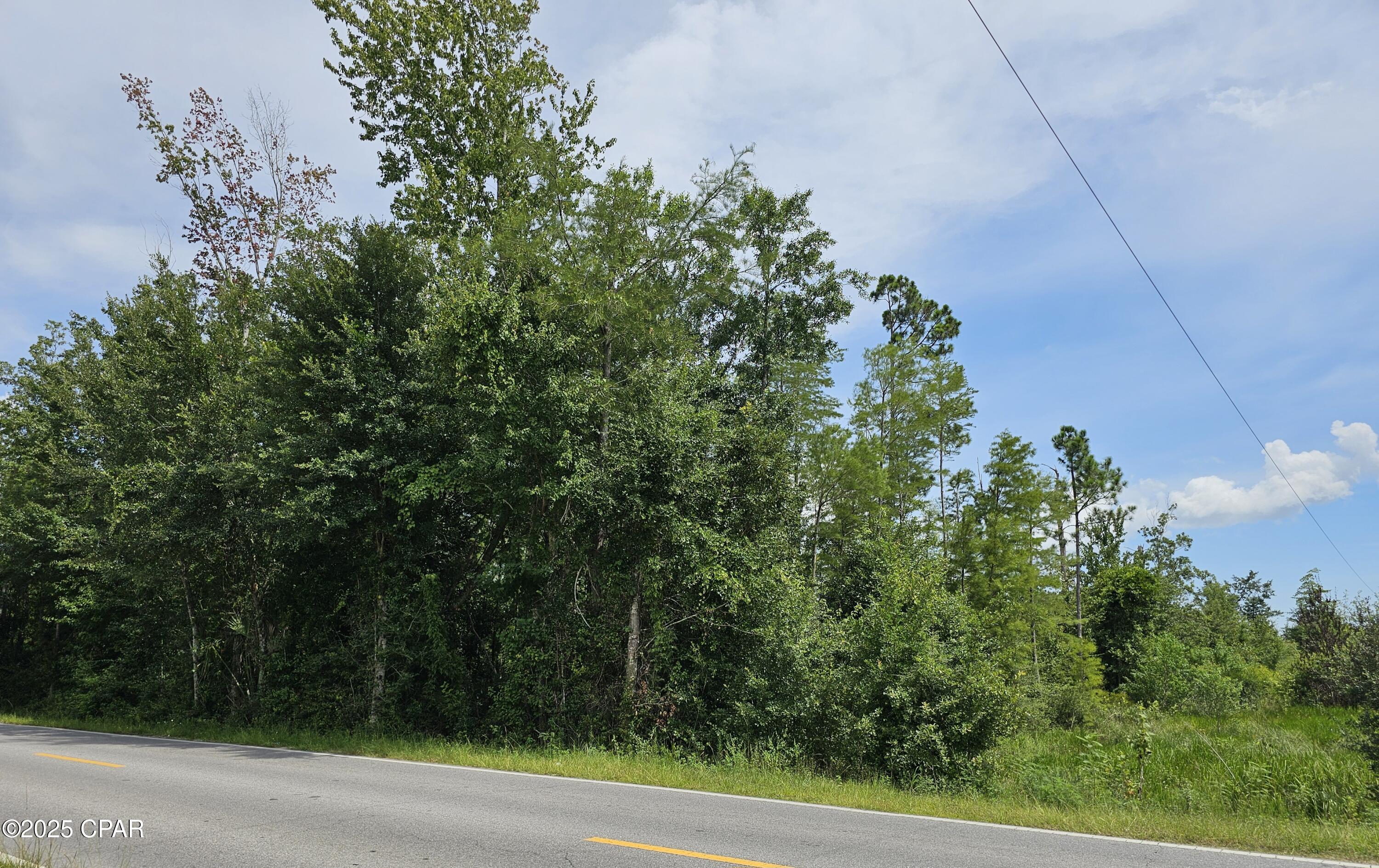 Image 6 For 0 Hwy 2301 & Camp Flowers Road