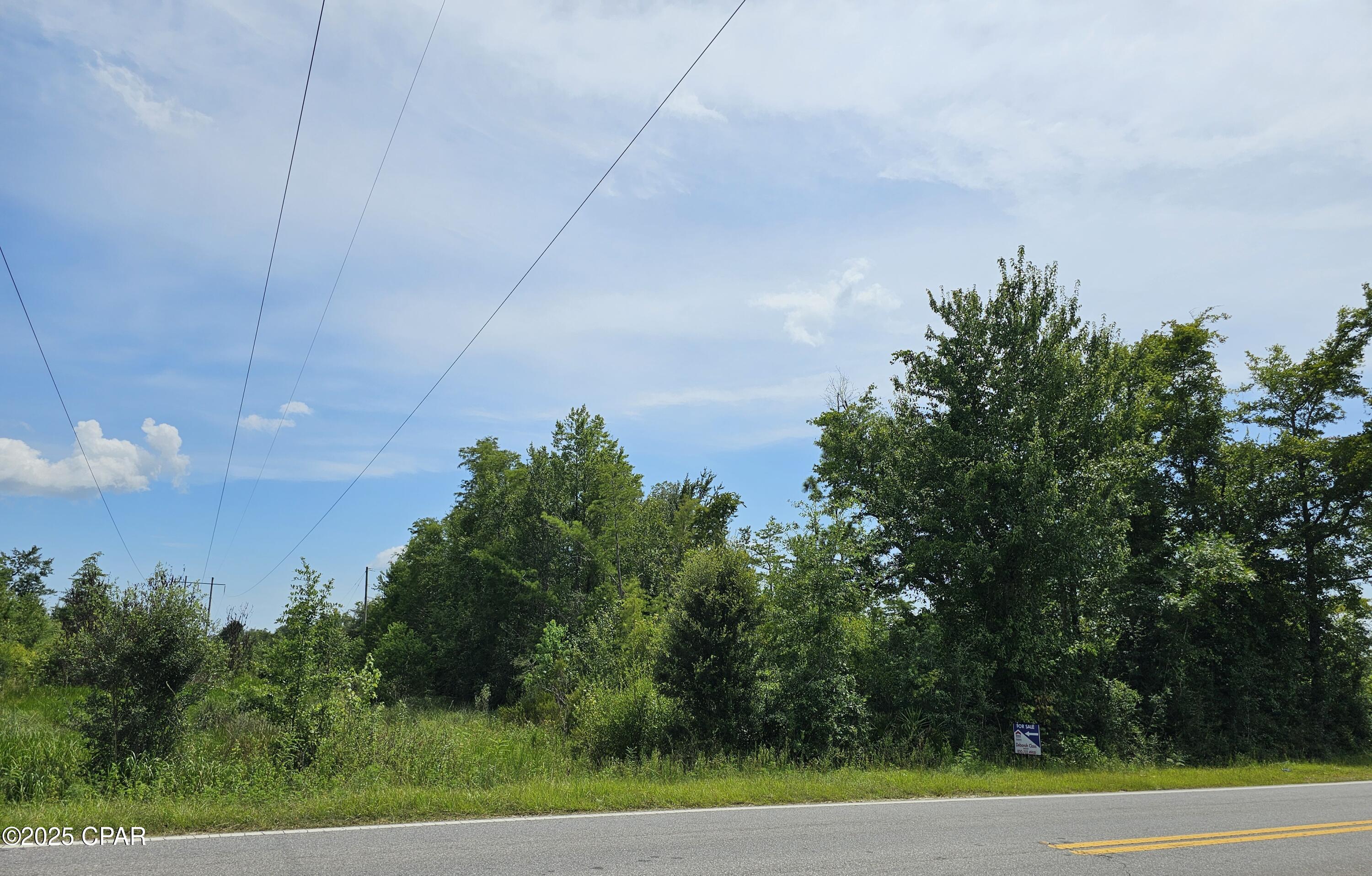 Image 7 For 0 Hwy 2301 & Camp Flowers Road