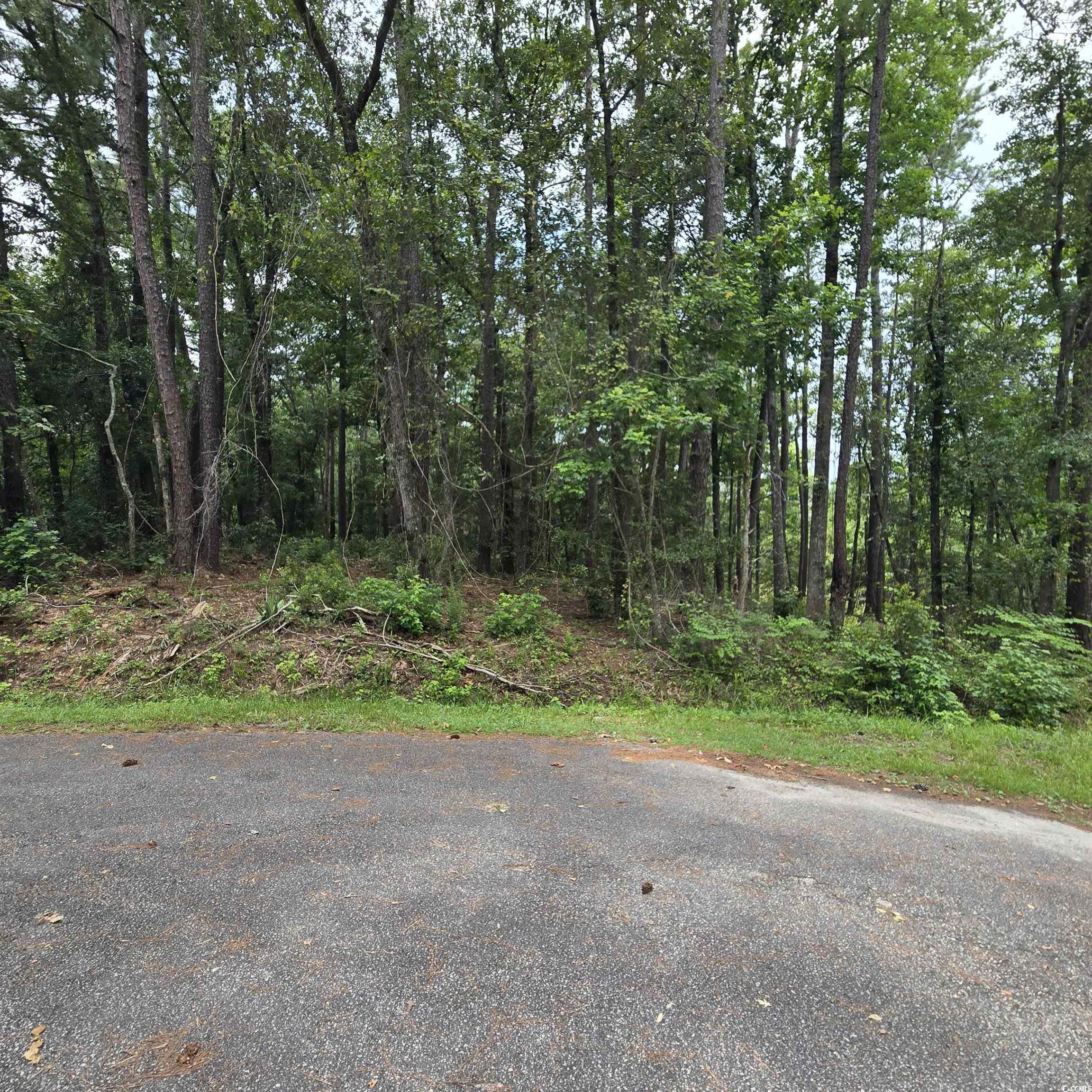 1051 Irene Ct. Conway, SC 29526