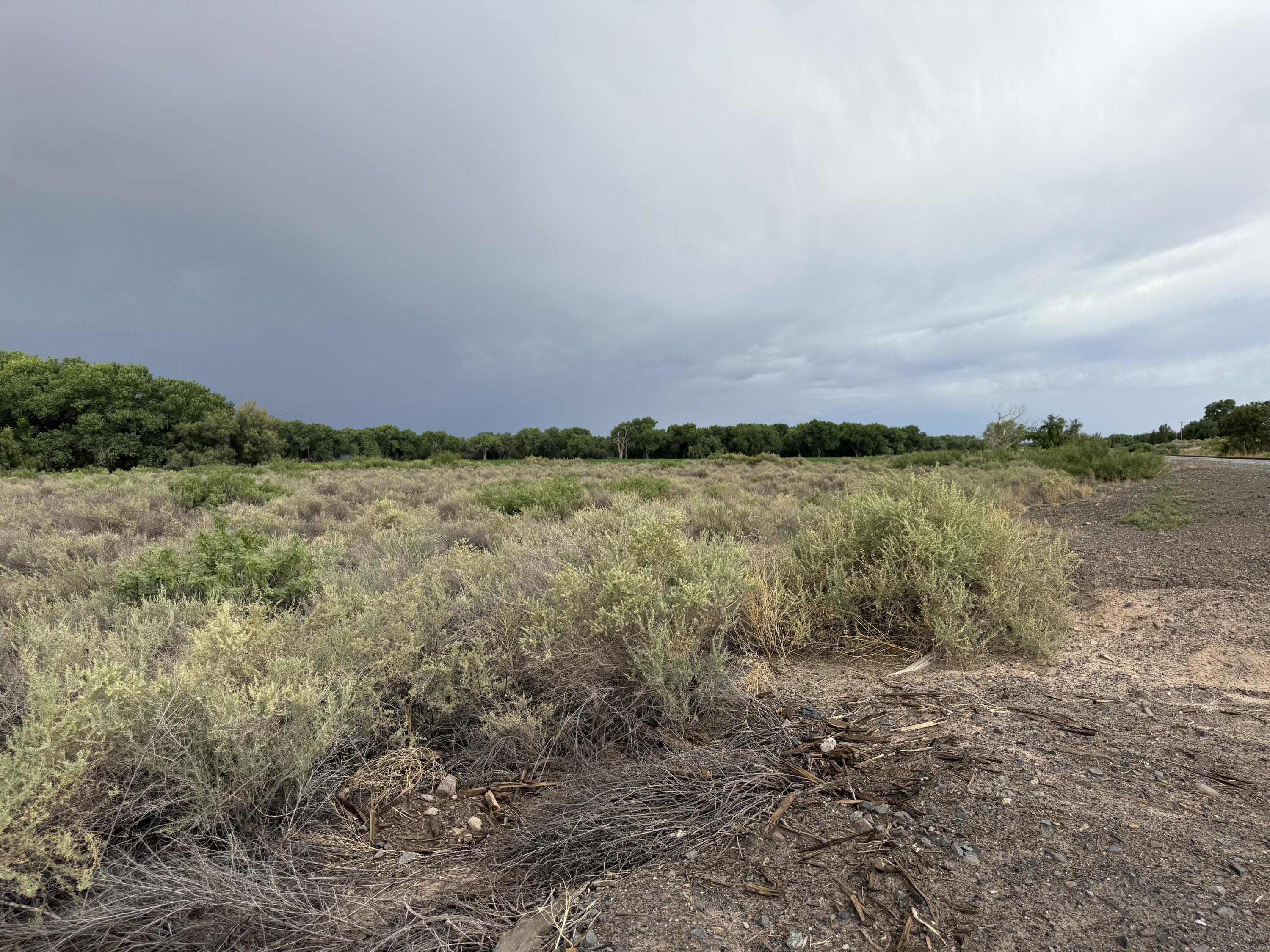 0 Winery Road Bosque, NM 87006