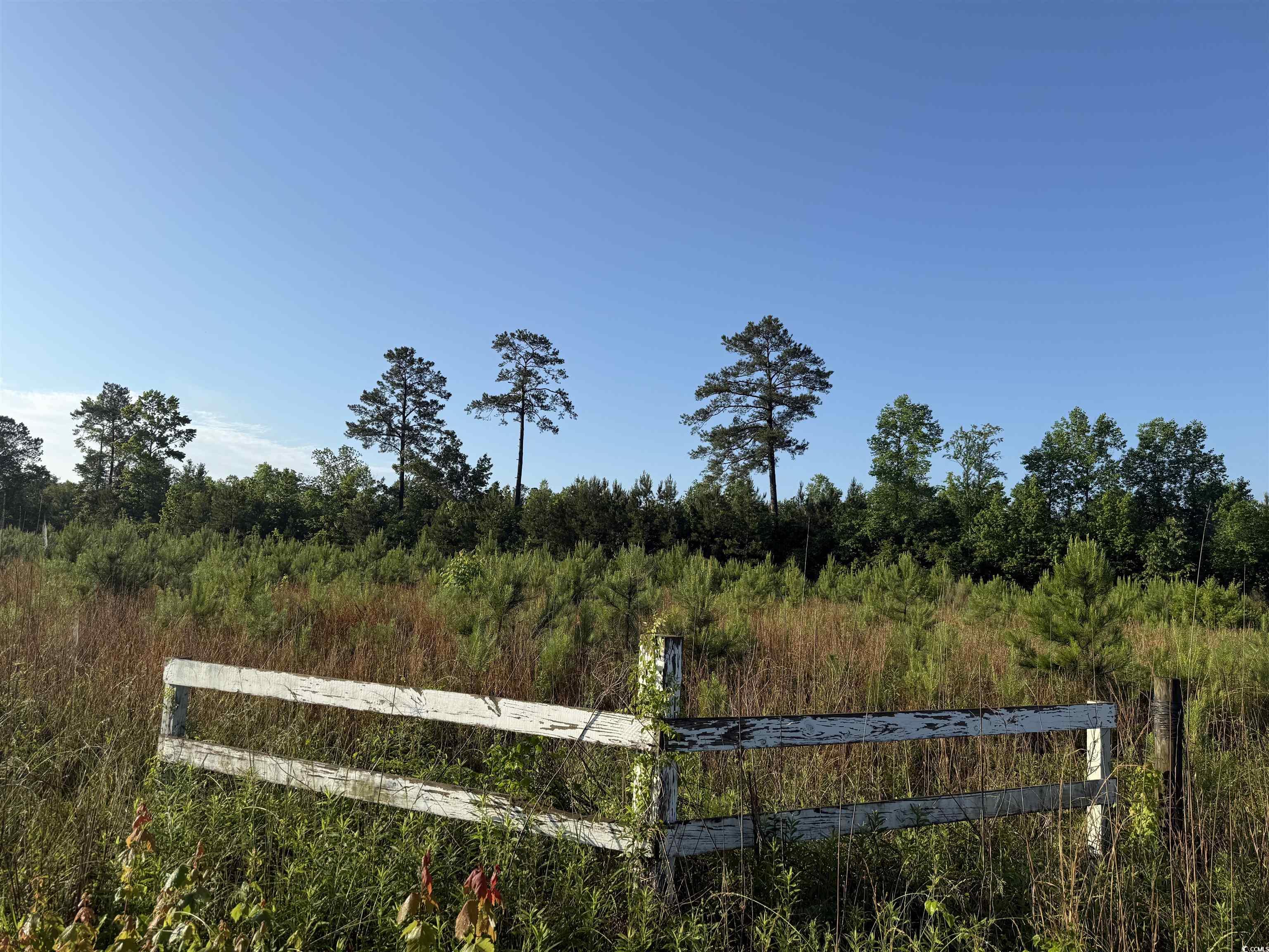 5 Acres Lo Old Pee Dee Rd. Hemingway, SC 29554