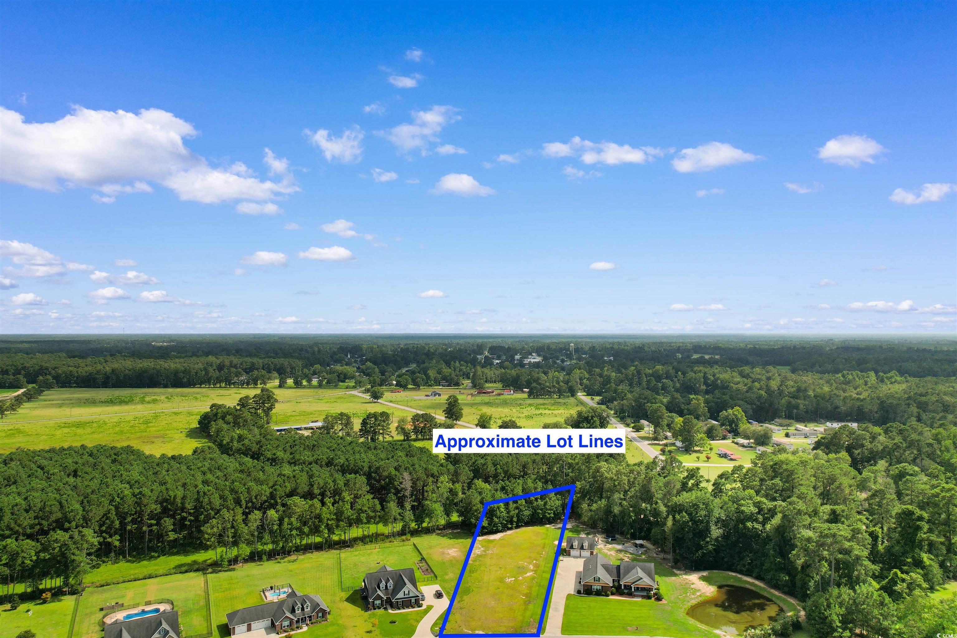 TBD Farm Trac Dr. Galivants Ferry, SC 29544