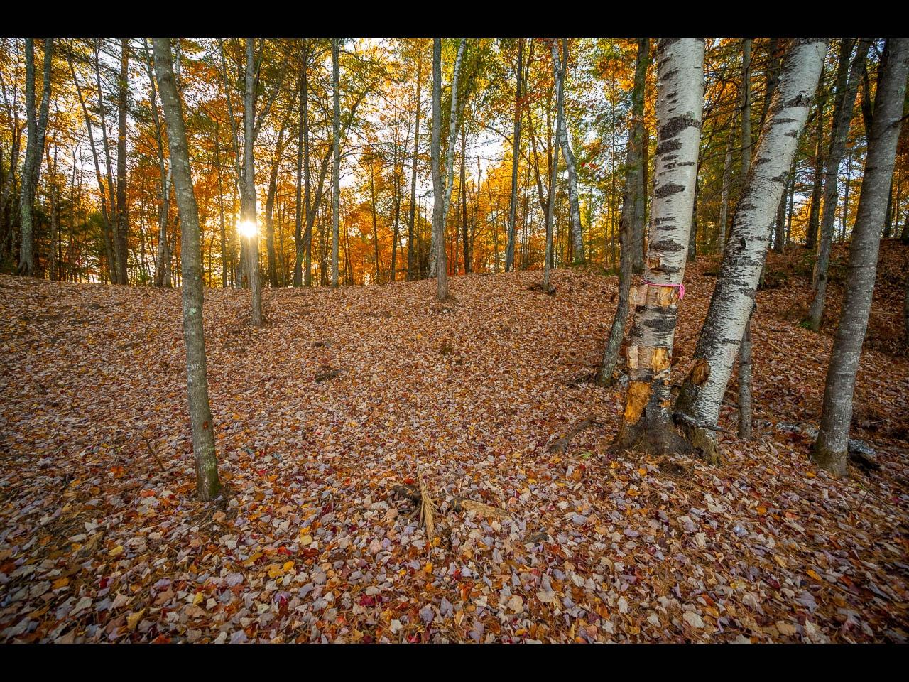 Clearwater Lake Property 154-156 Kindling Pt Photo 11