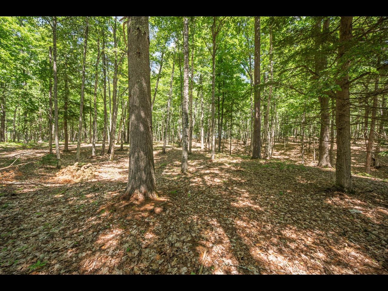 Clearwater Lake Property 154-156 Kindling Pt Photo 13