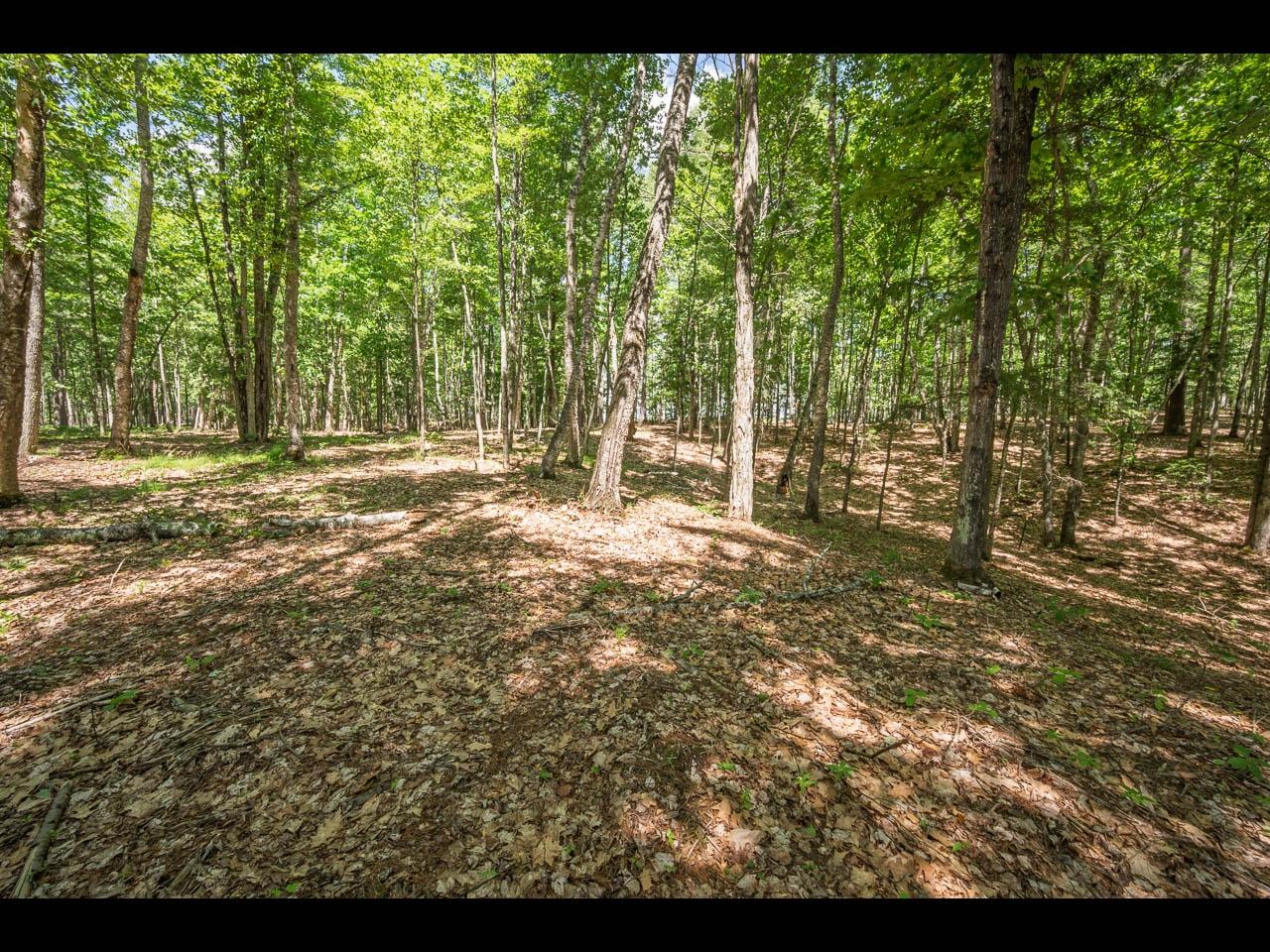Clearwater Lake Property 154-156 Kindling Pt Photo 14