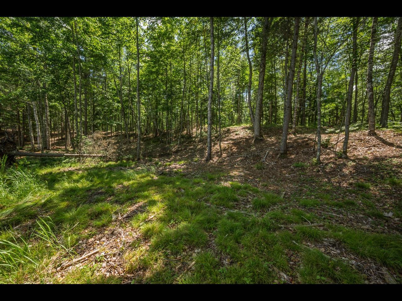 Clearwater Lake Property 154-156 Kindling Pt Photo 17