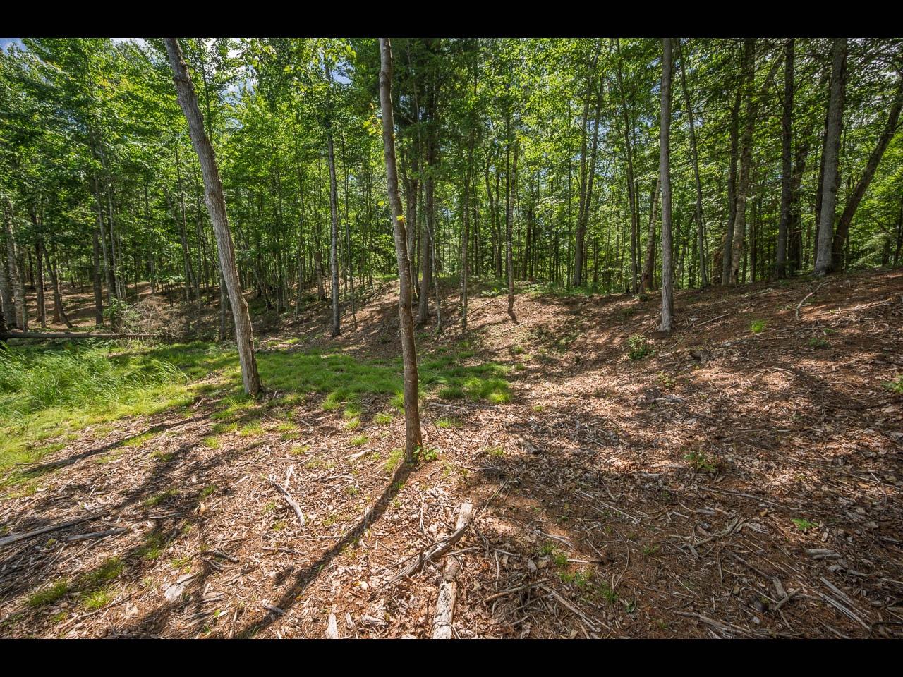 Clearwater Lake Property 154-156 Kindling Pt Photo 18