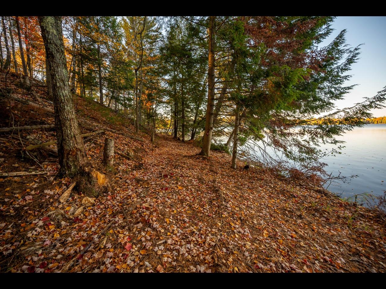 Clearwater Lake Property 154-156 Kindling Pt Photo 21