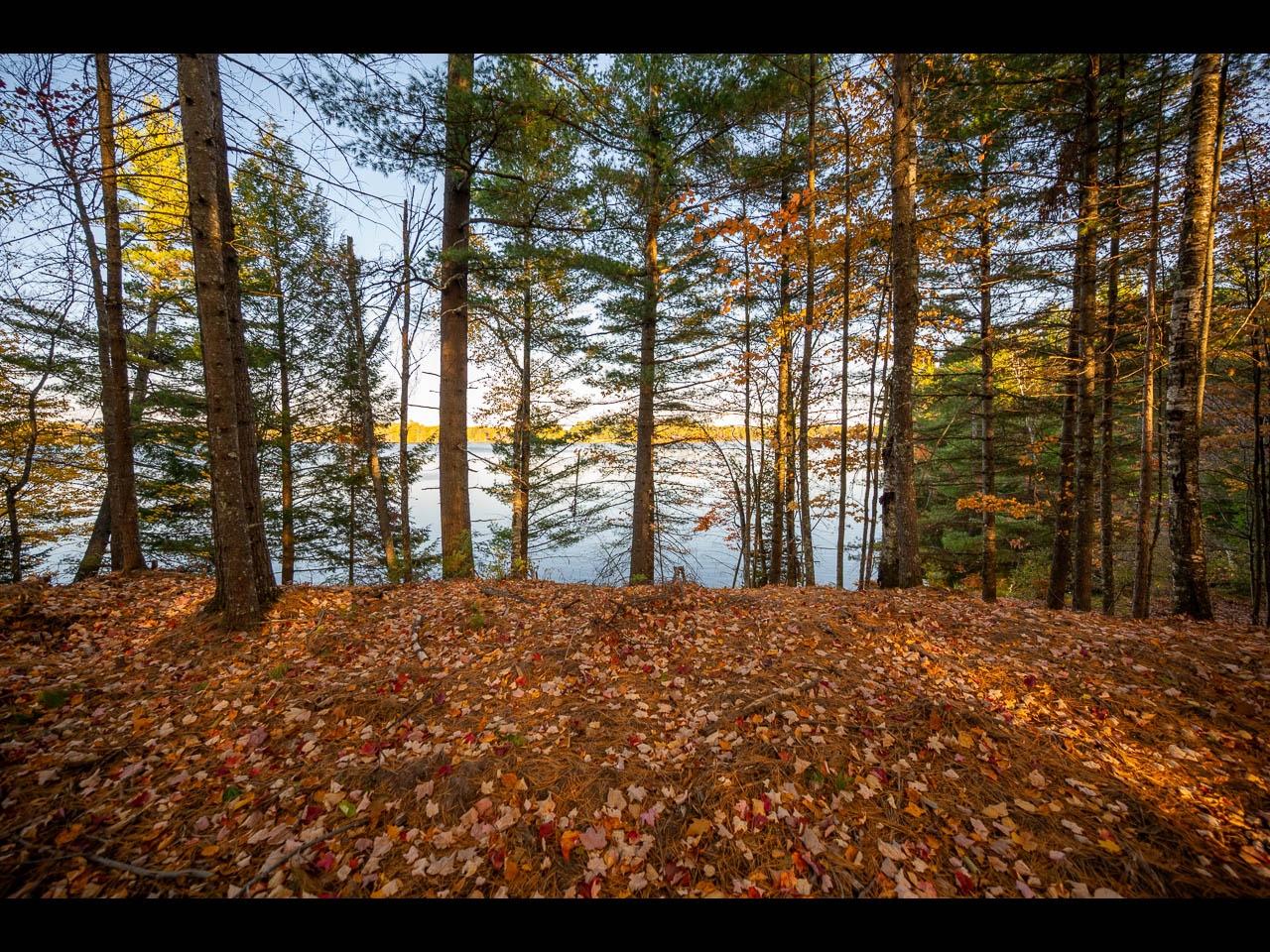 Clearwater Lake Property 154-156 Kindling Pt Photo 22