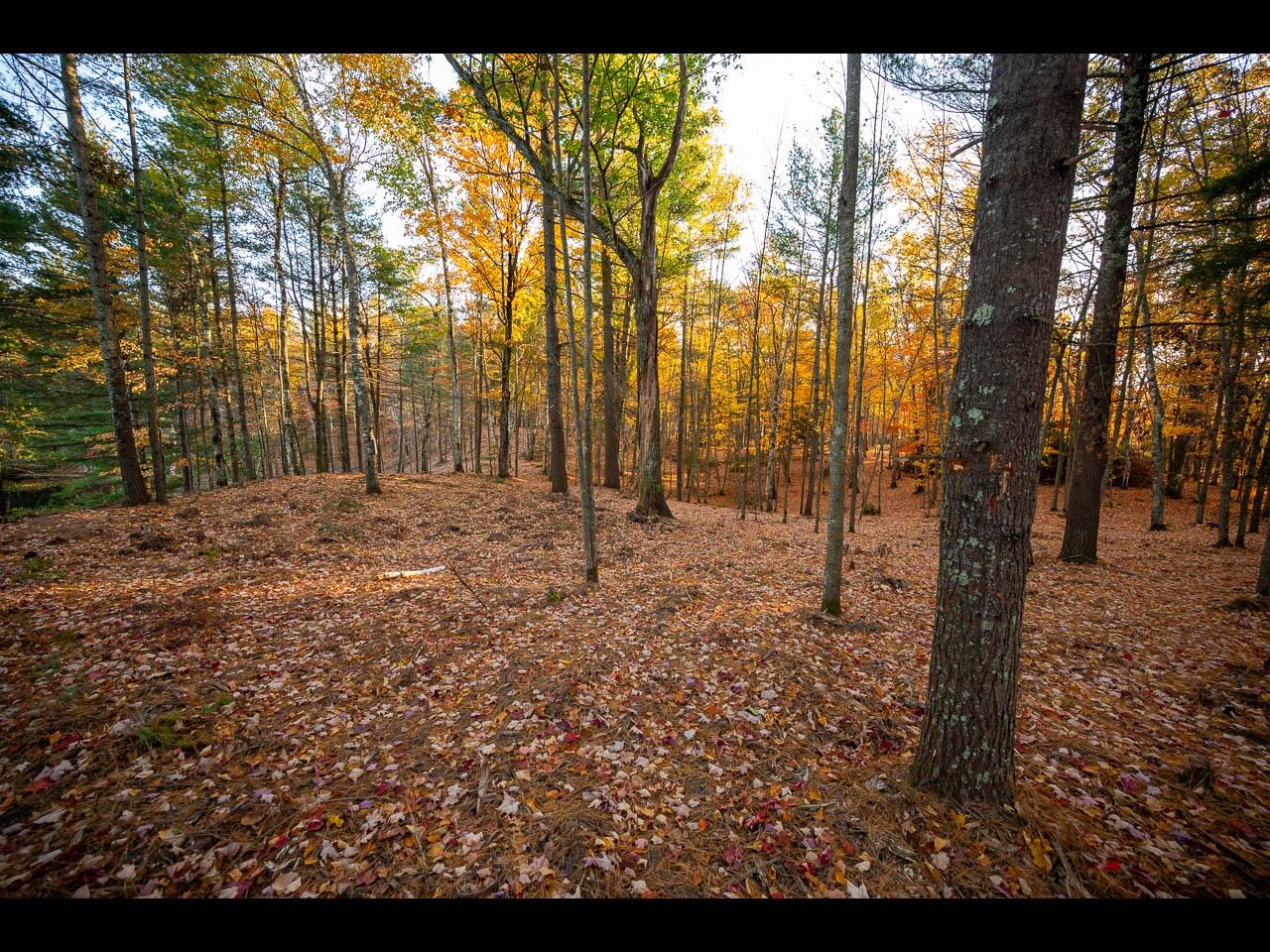 Clearwater Lake Property 154-156 Kindling Pt Photo 23