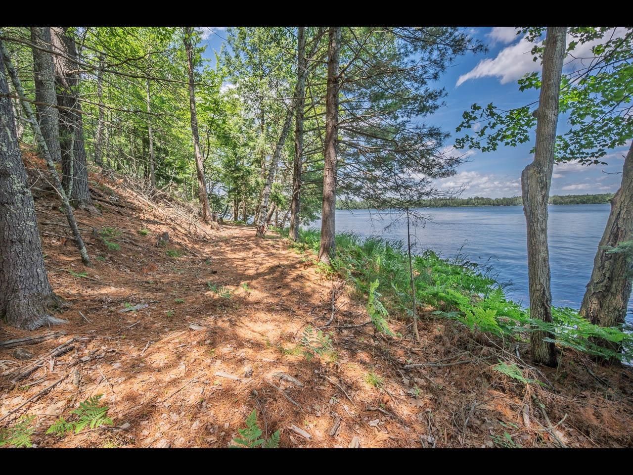 Clearwater Lake Property 154-156 Kindling Pt Photo 26