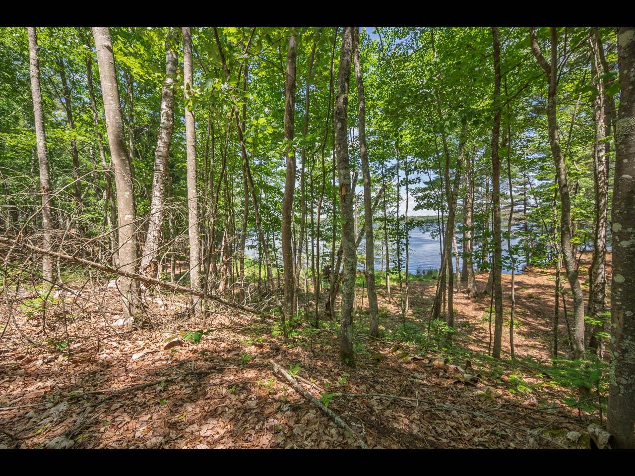 Clearwater Lake Property 154-156 Kindling Pt Photo 3