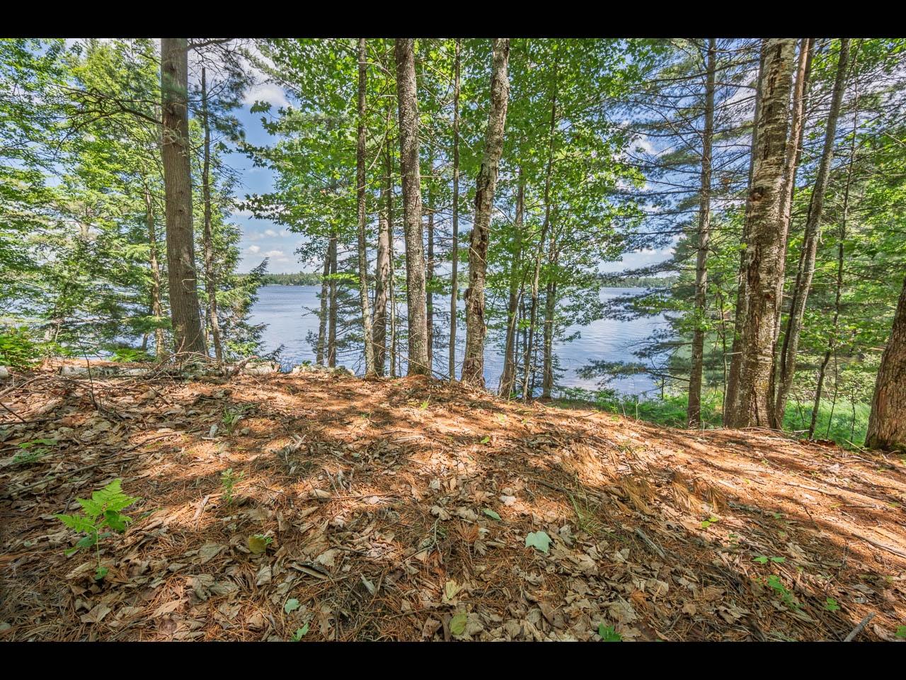 Clearwater Lake Property 154-156 Kindling Pt Photo 31