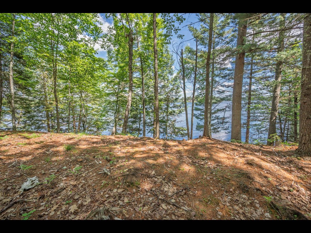 Clearwater Lake Property 154-156 Kindling Pt Photo 34