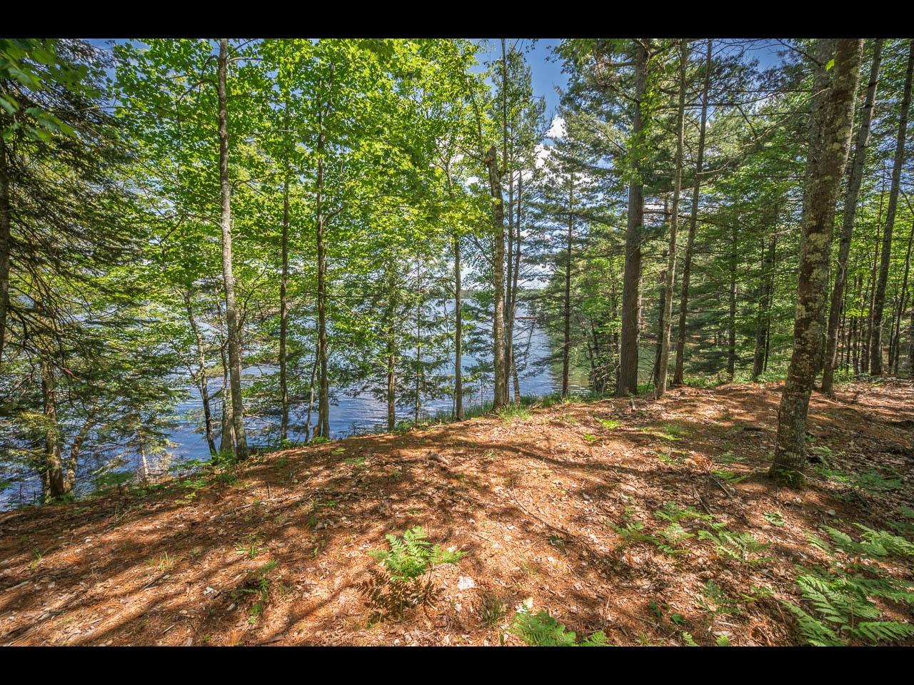 Clearwater Lake Property 154-156 Kindling Pt Photo 35