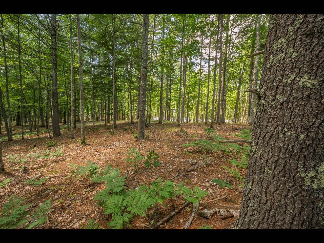 Clearwater Lake Property 154-156 Kindling Pt Photo 36