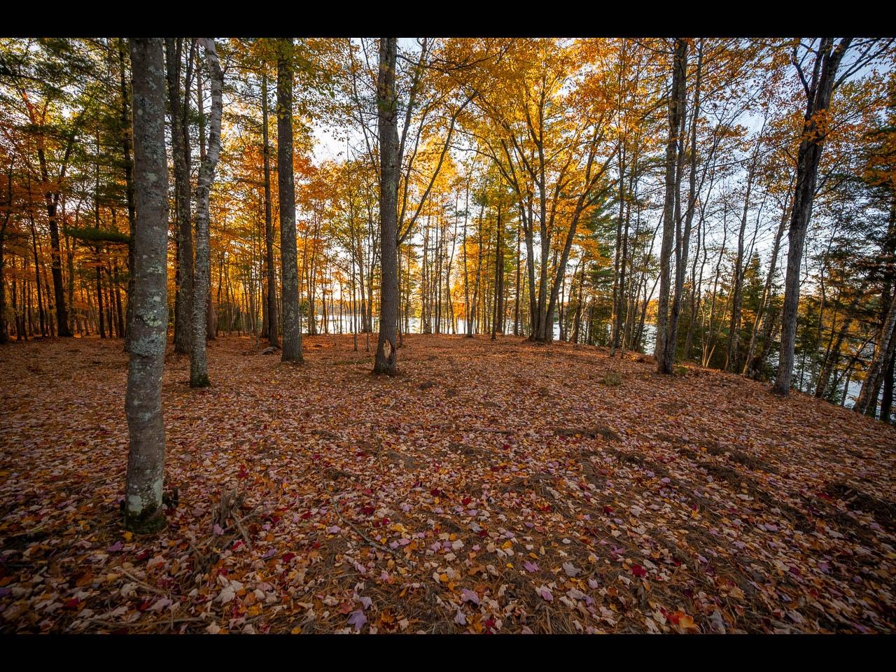 Clearwater Lake Property 154-156 Kindling Pt Photo 39