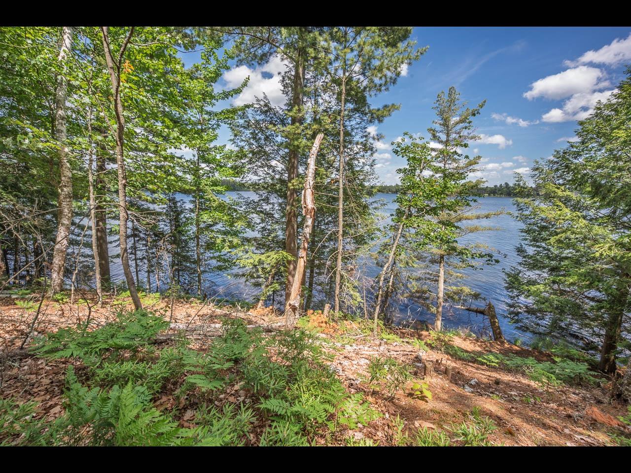 Clearwater Lake Property 154-156 Kindling Pt Photo 44