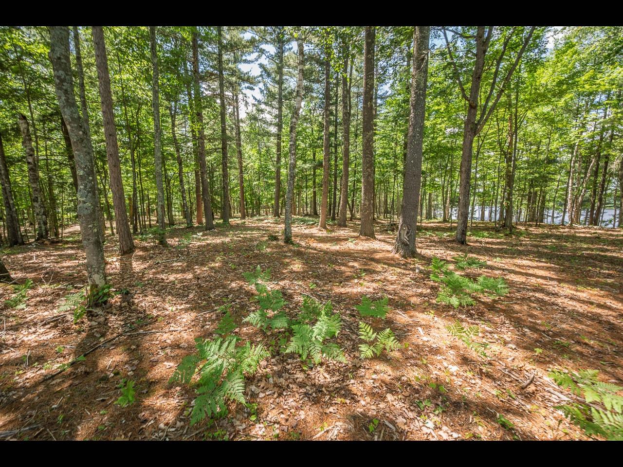 Clearwater Lake Property 154-156 Kindling Pt Photo 45
