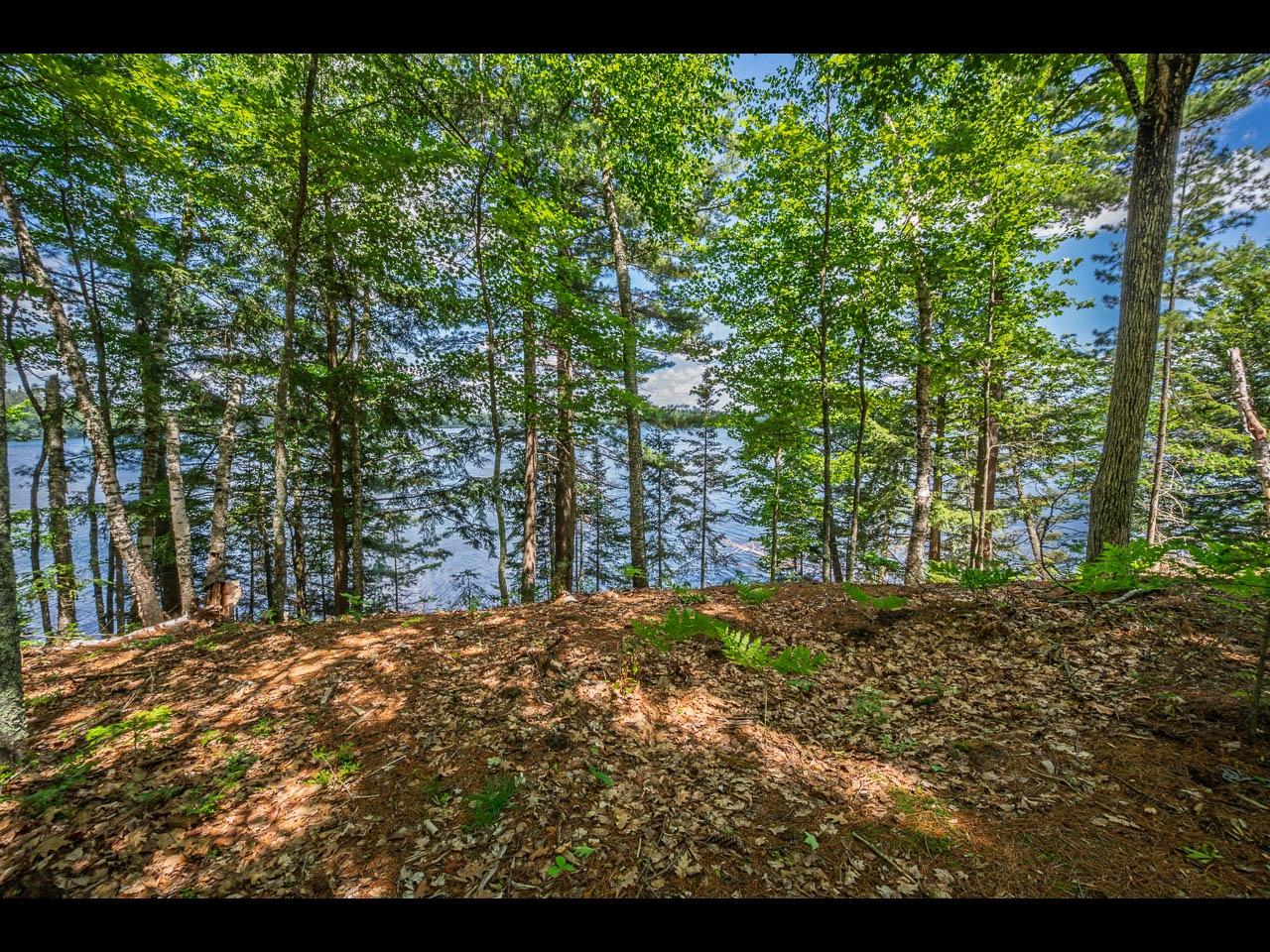 Clearwater Lake Property 154-156 Kindling Pt Photo 46
