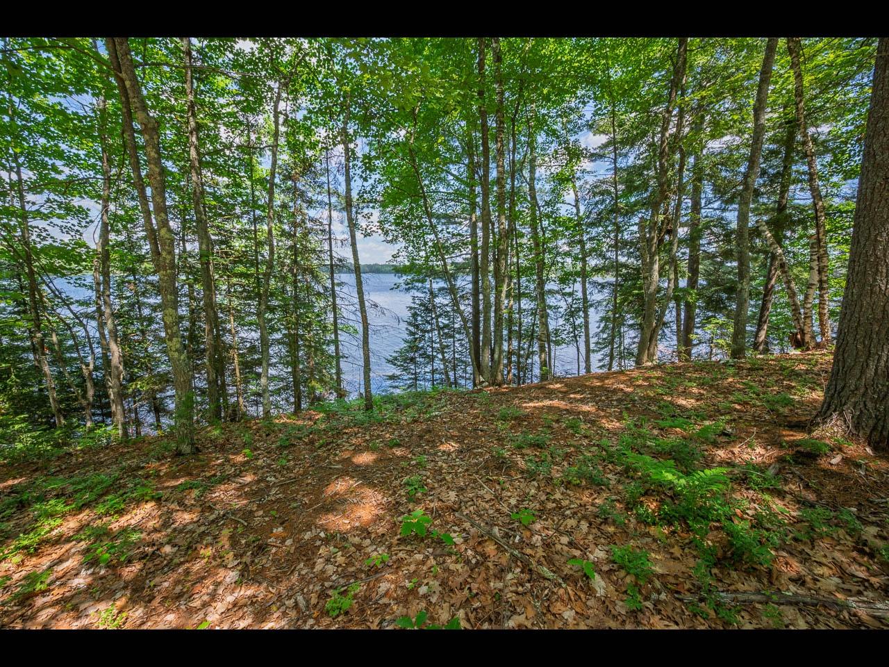 Clearwater Lake Property 154-156 Kindling Pt Photo 47