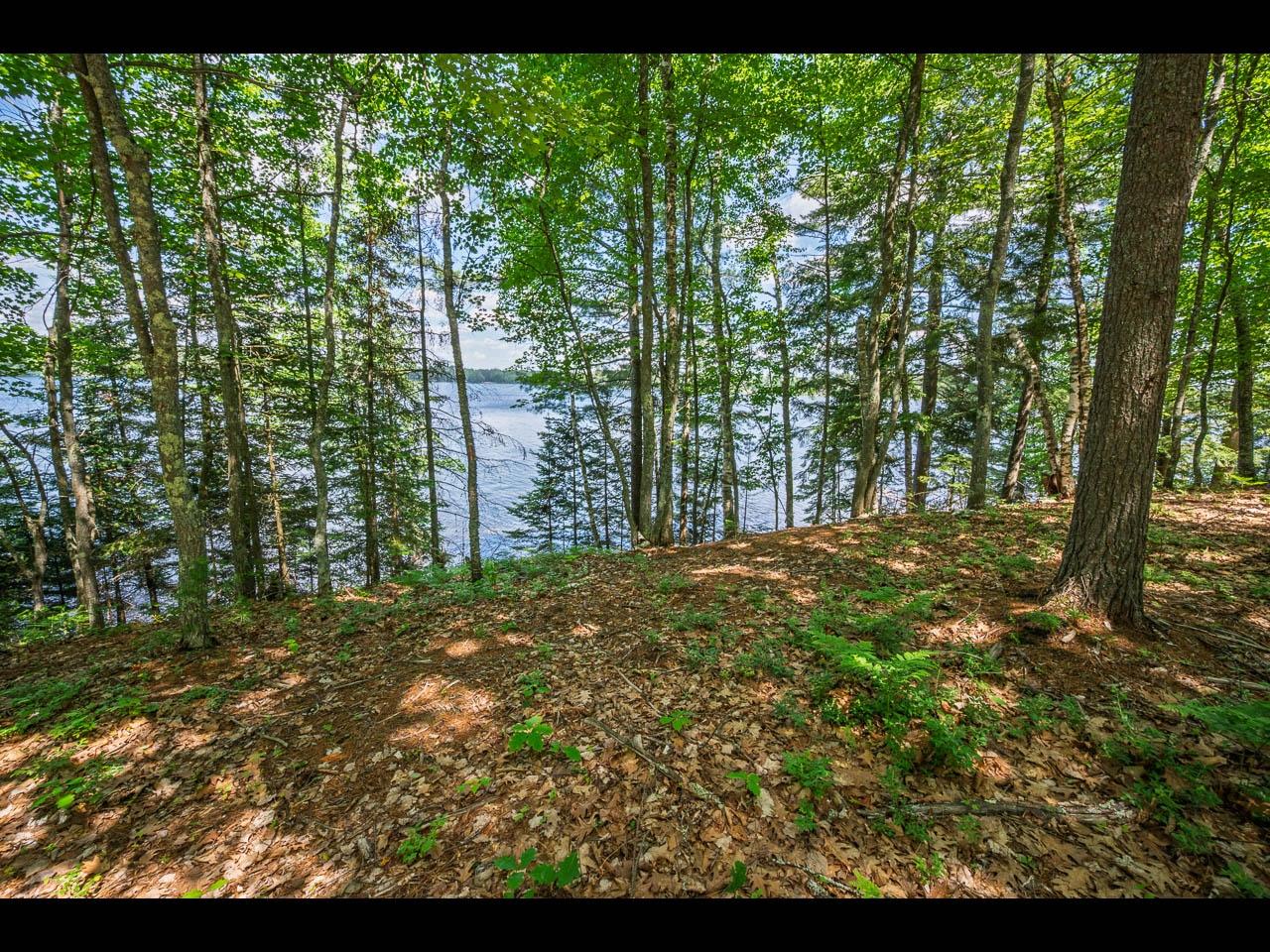 Clearwater Lake Property 154-156 Kindling Pt Photo 48