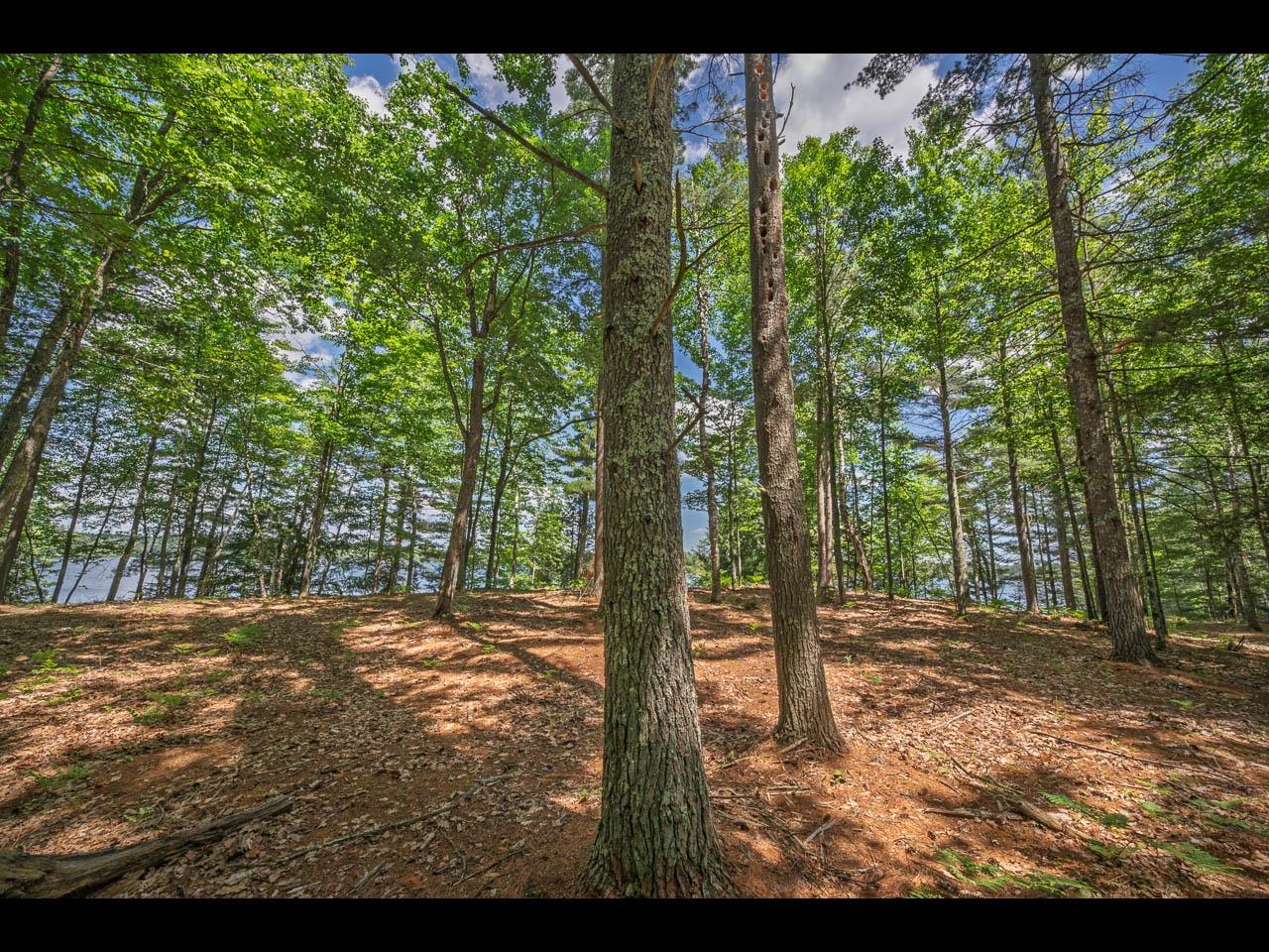 Clearwater Lake Property 154-156 Kindling Pt Photo 50