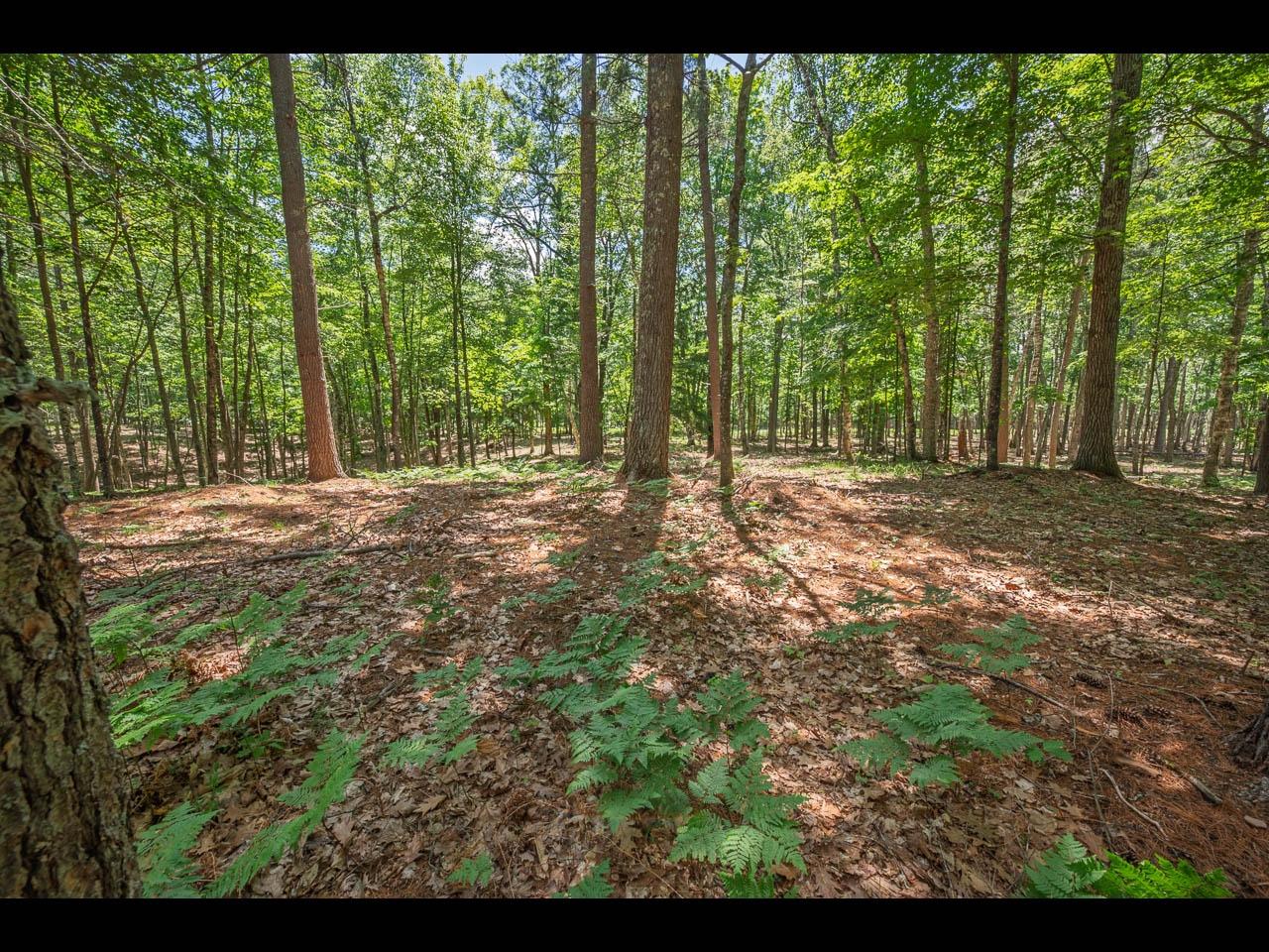 Clearwater Lake Property 154-156 Kindling Pt Photo 51