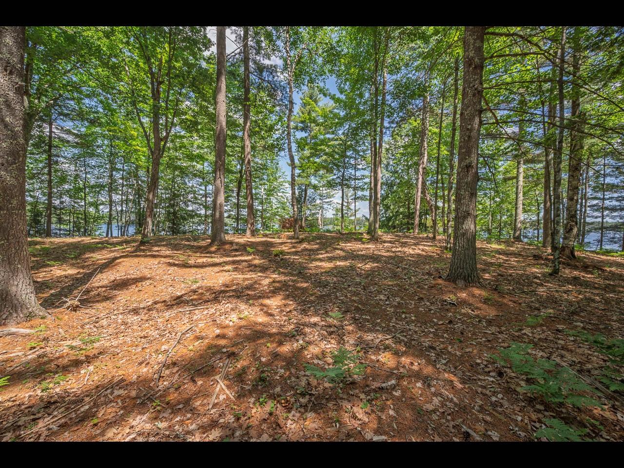 Clearwater Lake Property 154-156 Kindling Pt Photo 52