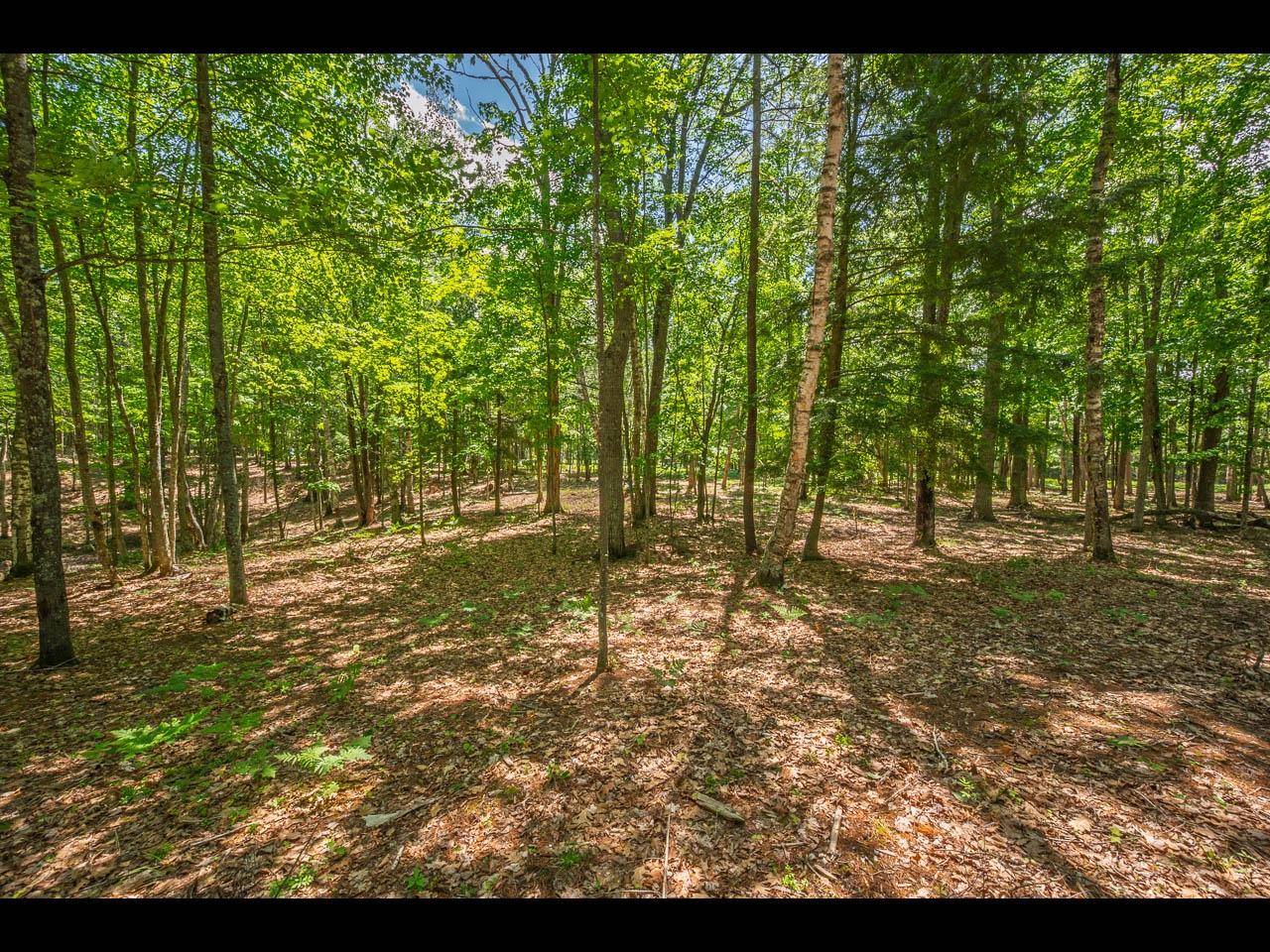 Clearwater Lake Property 154-156 Kindling Pt Photo 53