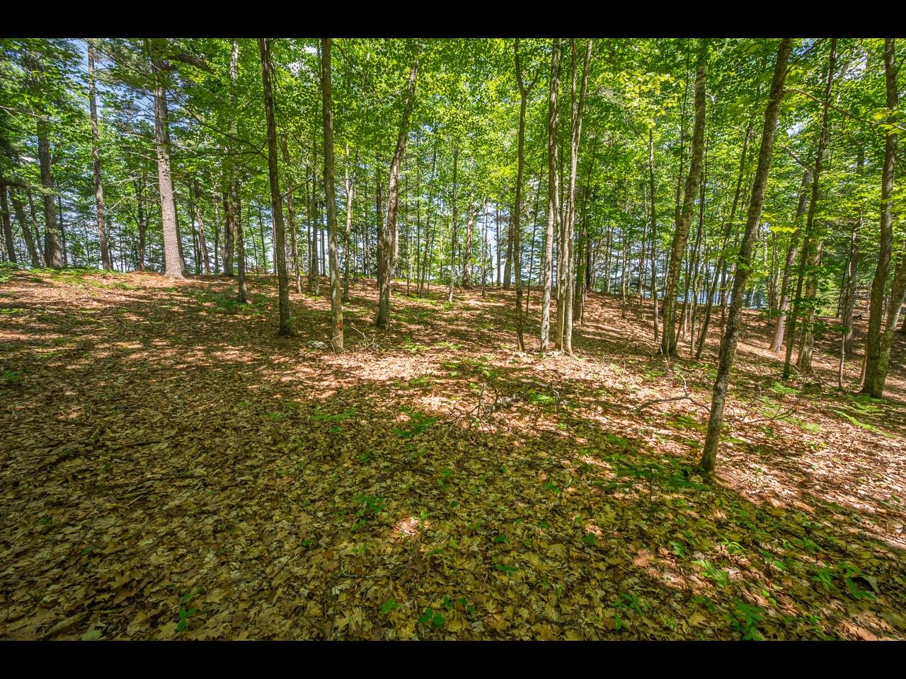 Clearwater Lake Property 154-156 Kindling Pt Photo 54