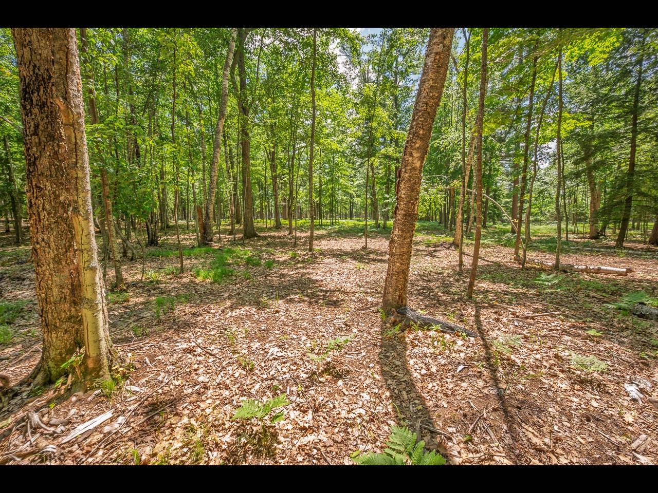 Clearwater Lake Property 154-156 Kindling Pt Photo 55
