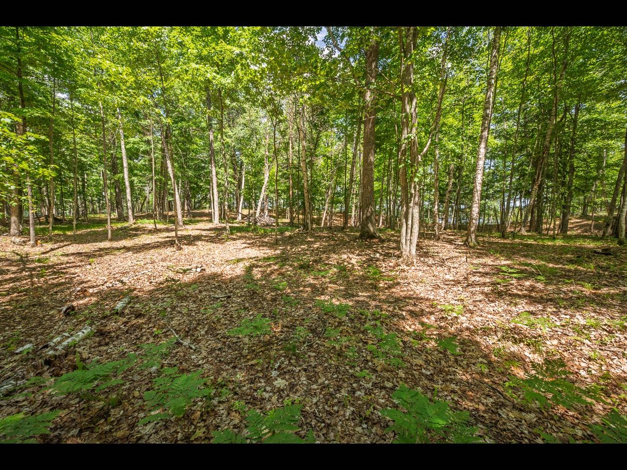 Clearwater Lake Property 154-156 Kindling Pt Photo 56