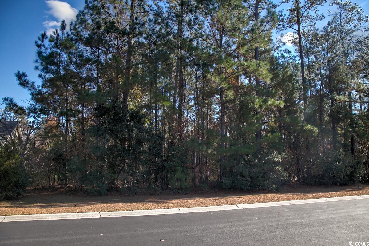 172 Low Country Loop Murrells Inlet, SC 29576