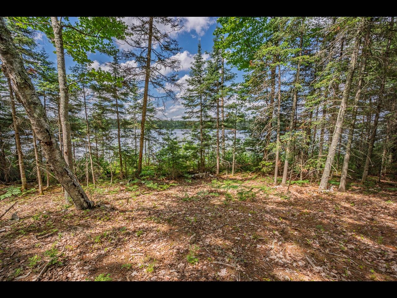 Clearwater Lake Property Lot 160 Clearwater Lake Tr Photo 5