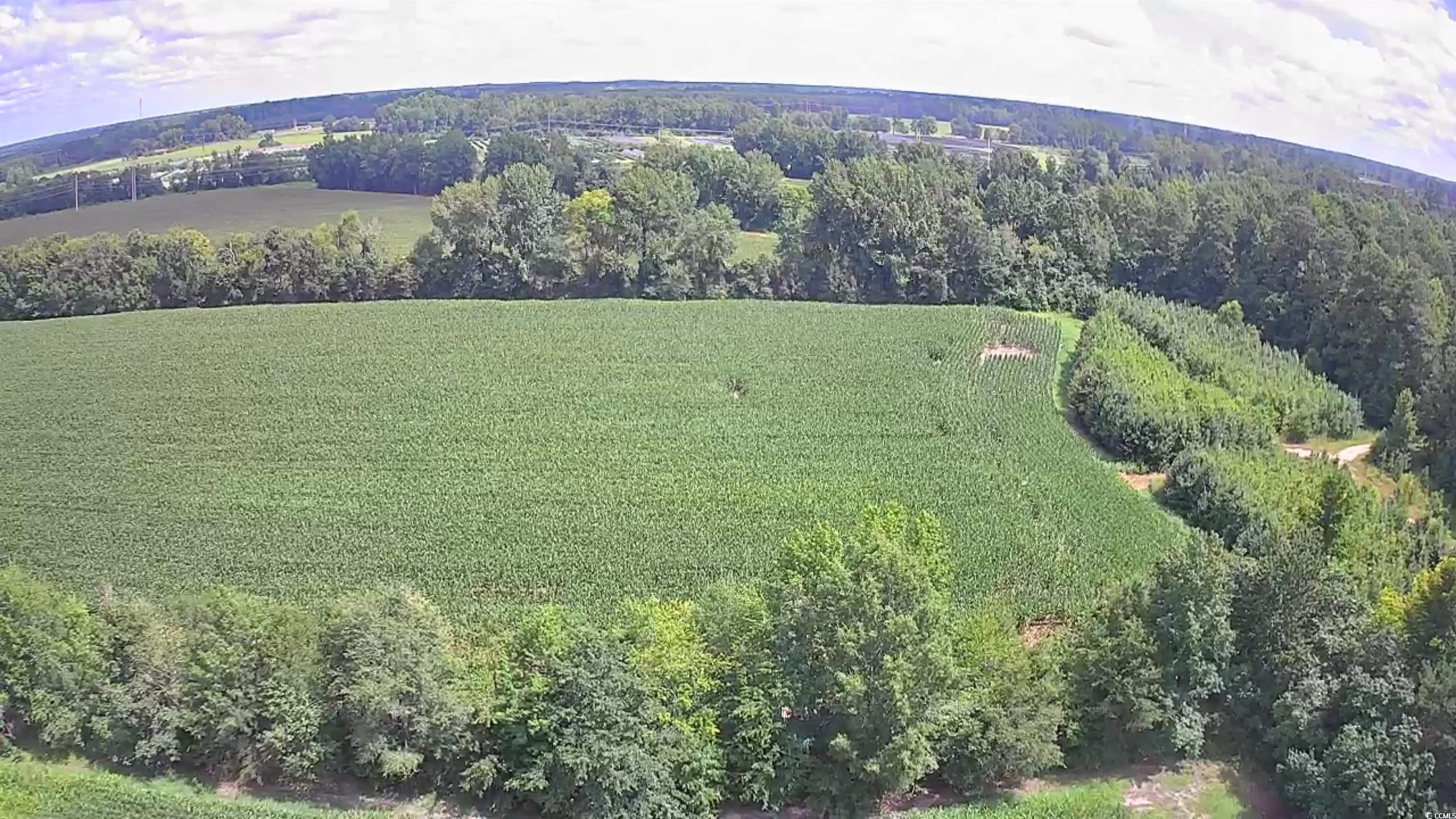 TBD Plantation Dr. Marion, SC 29571