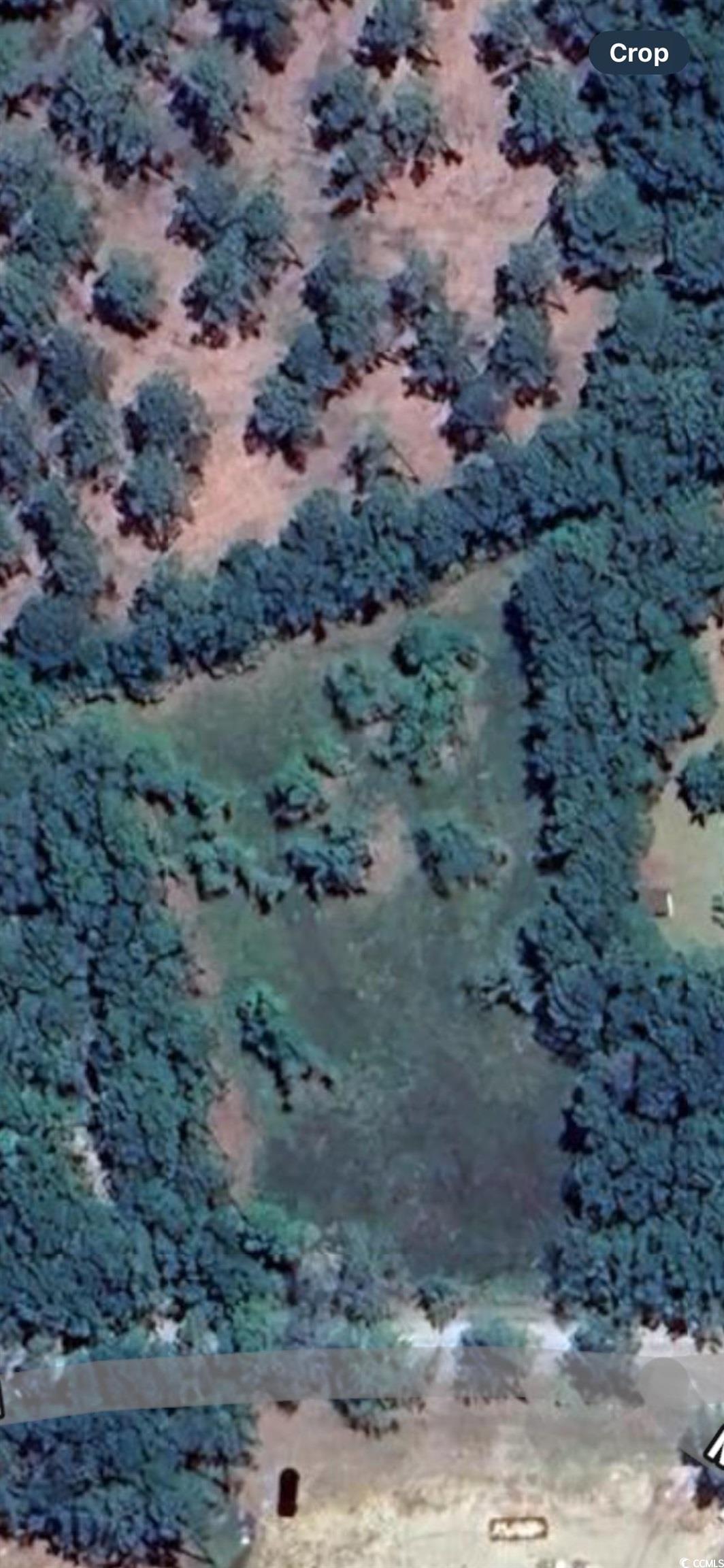 722 Romain Rd. Mcclellanville, SC 29458