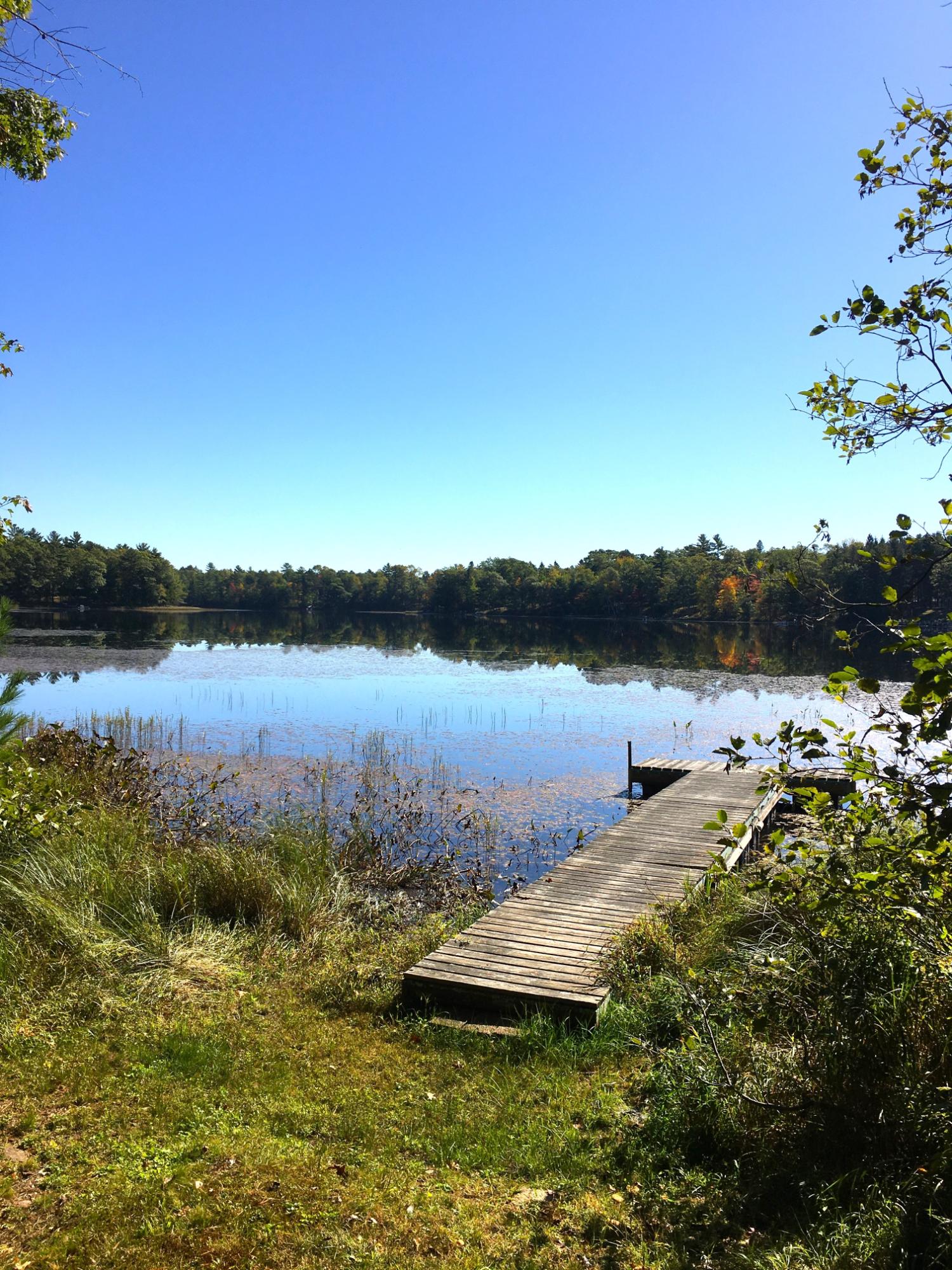 Oswego Lake Property 9921 Arneders Ln Photo 14