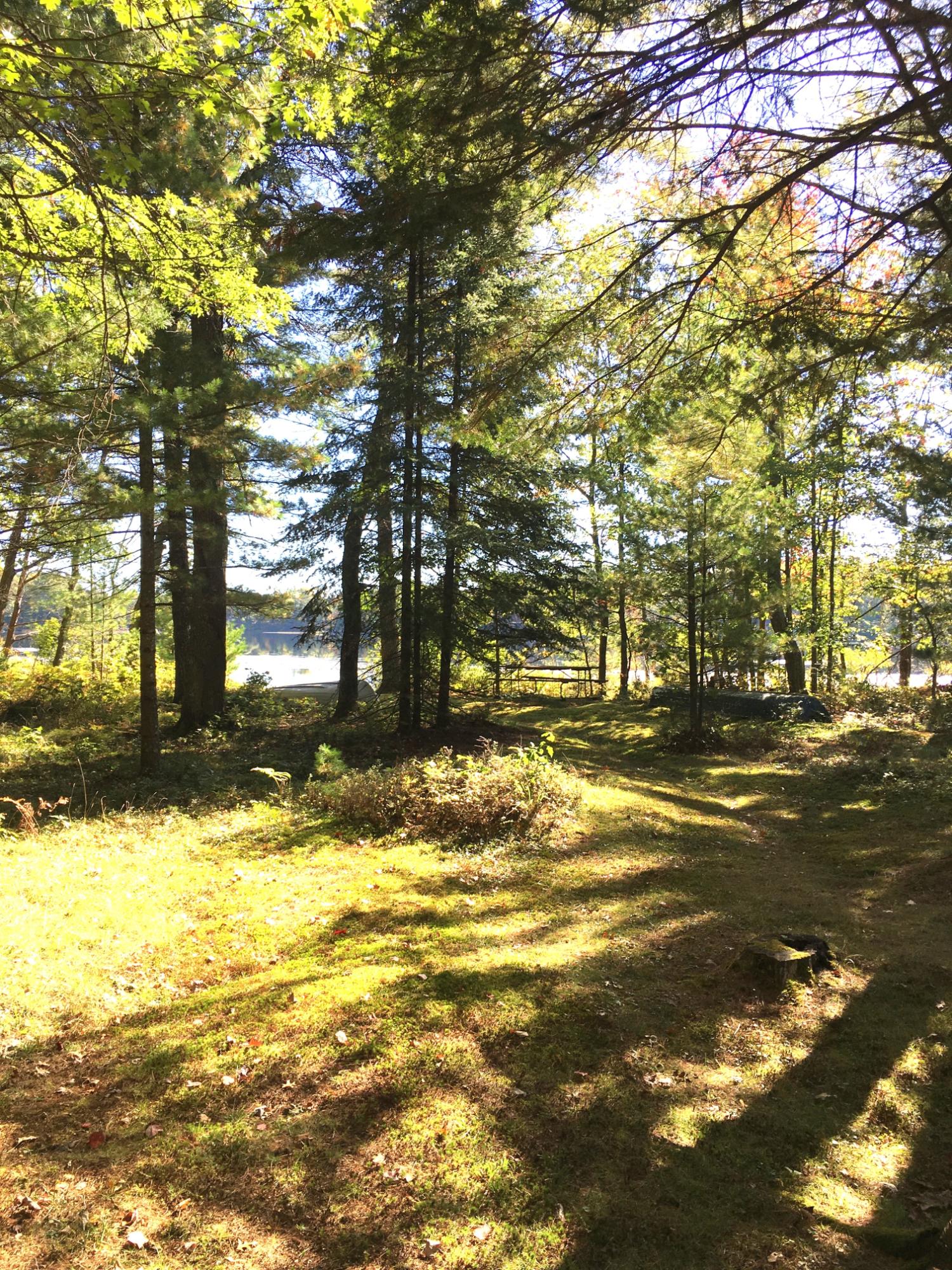 Oswego Lake Property 9921 Arneders Ln Photo 6