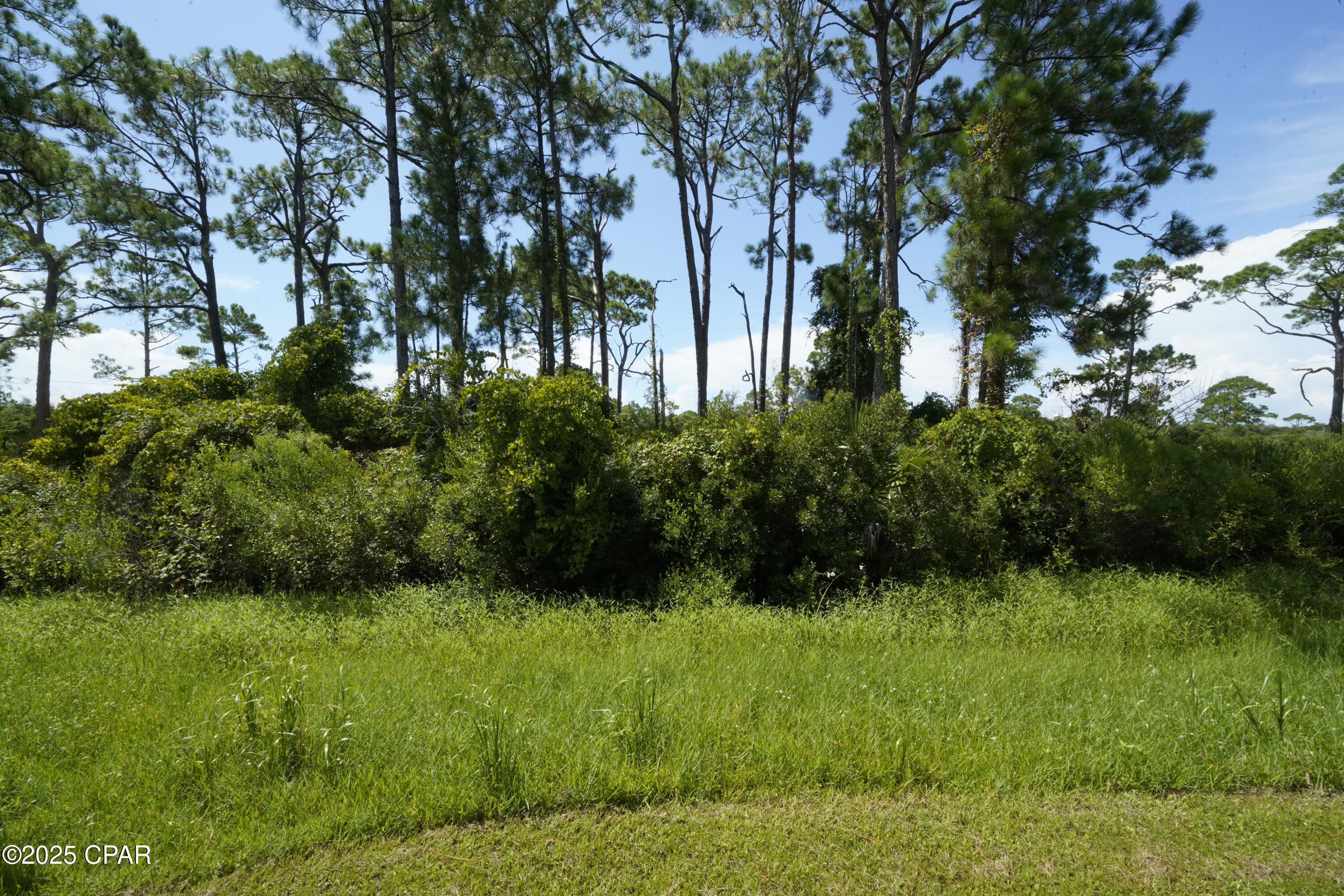 Image 2 For Tbd Cape San Blas Road