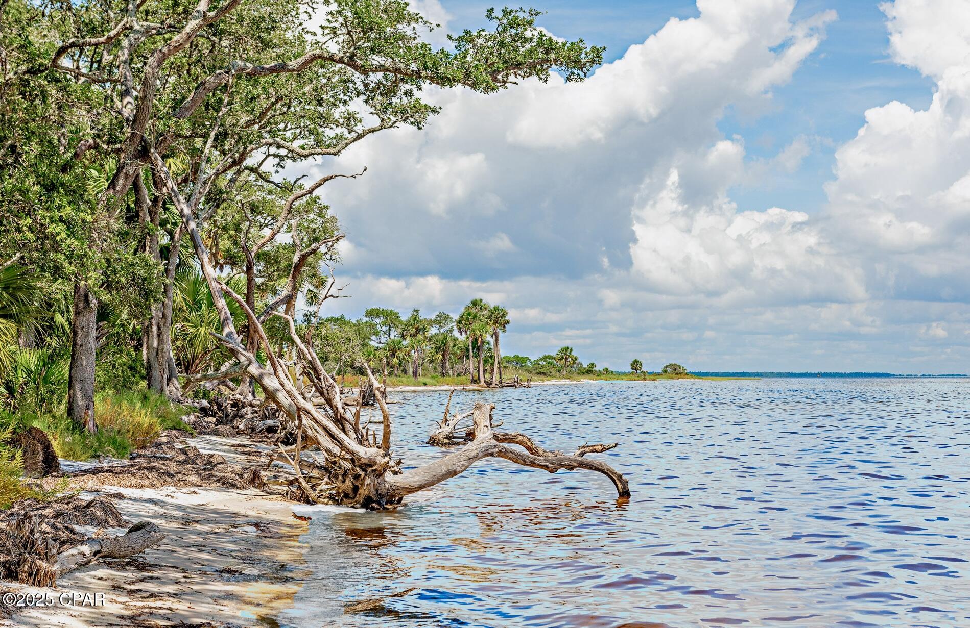 Image 16 For Tbd Cape San Blas Road