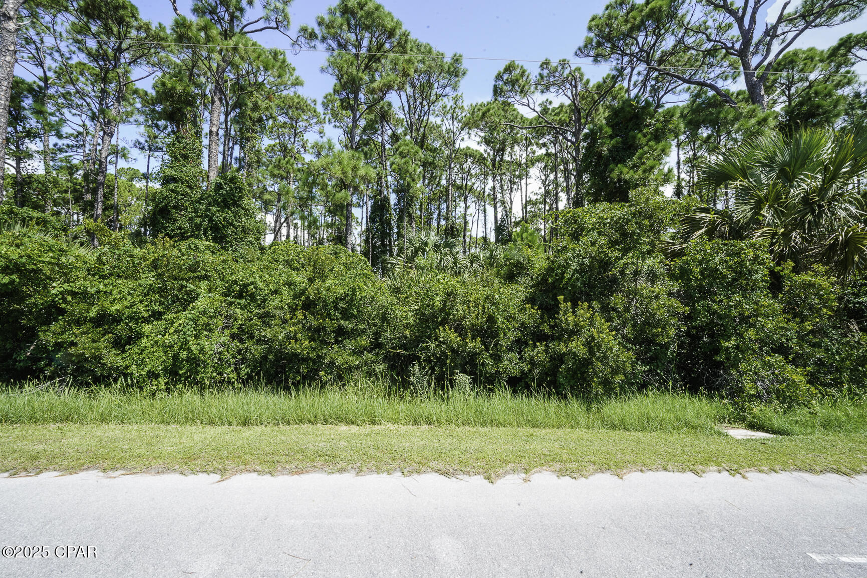 Image 3 For Tbd Cape San Blas Road