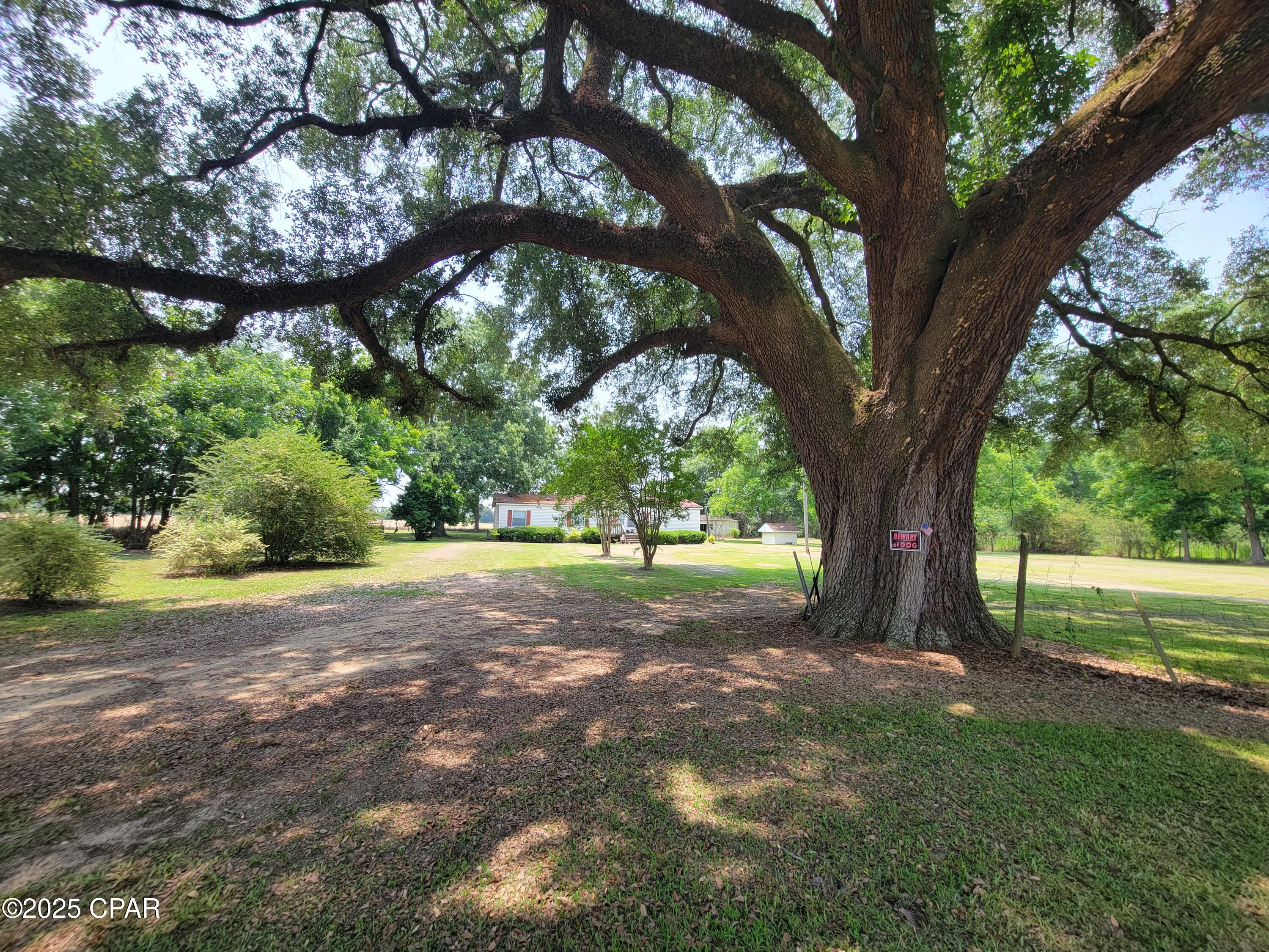 Image 1 For 4443 Kins Road