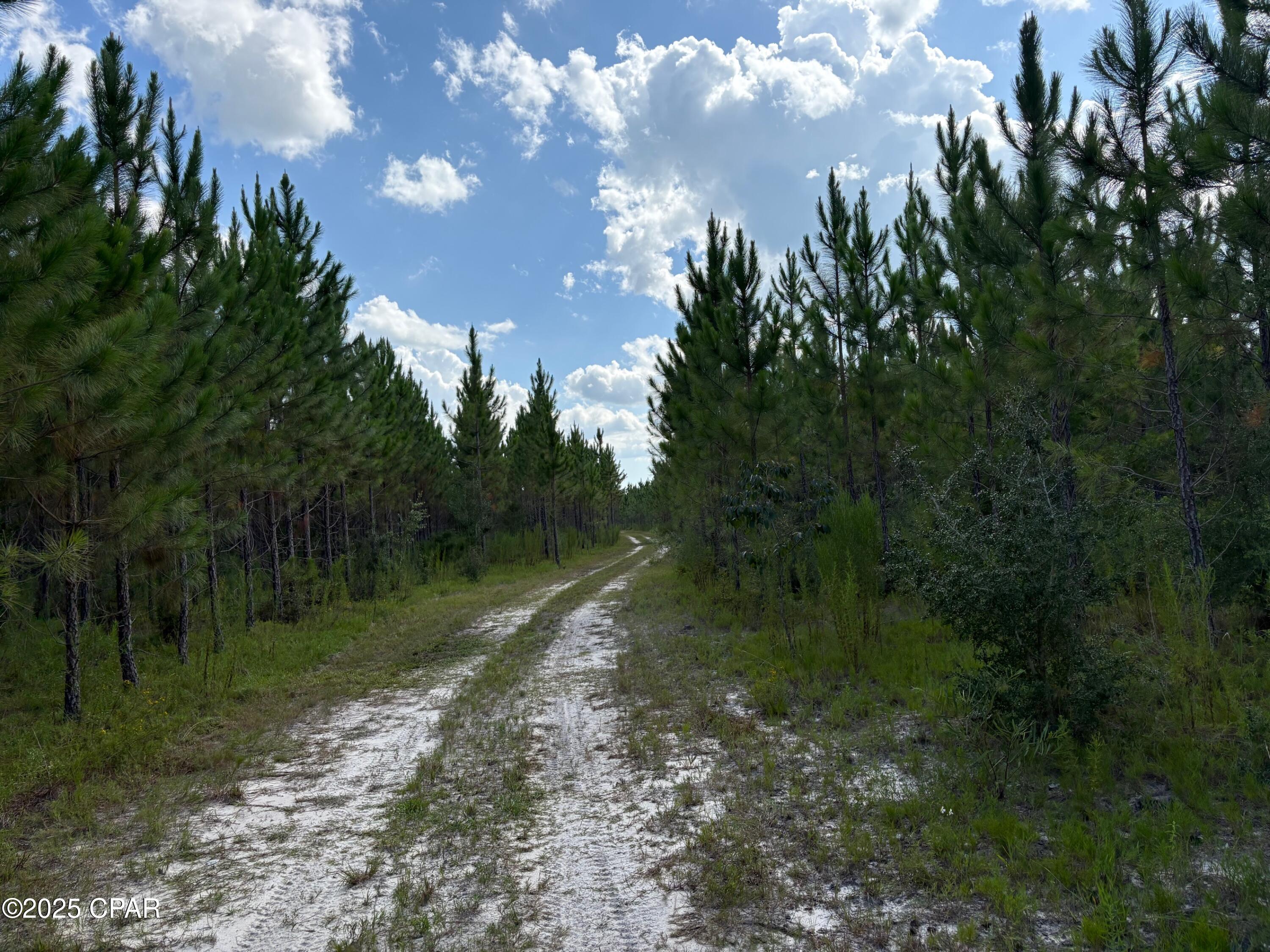 Details for 000 Duck Pond Road, Clarksville, FL 32430